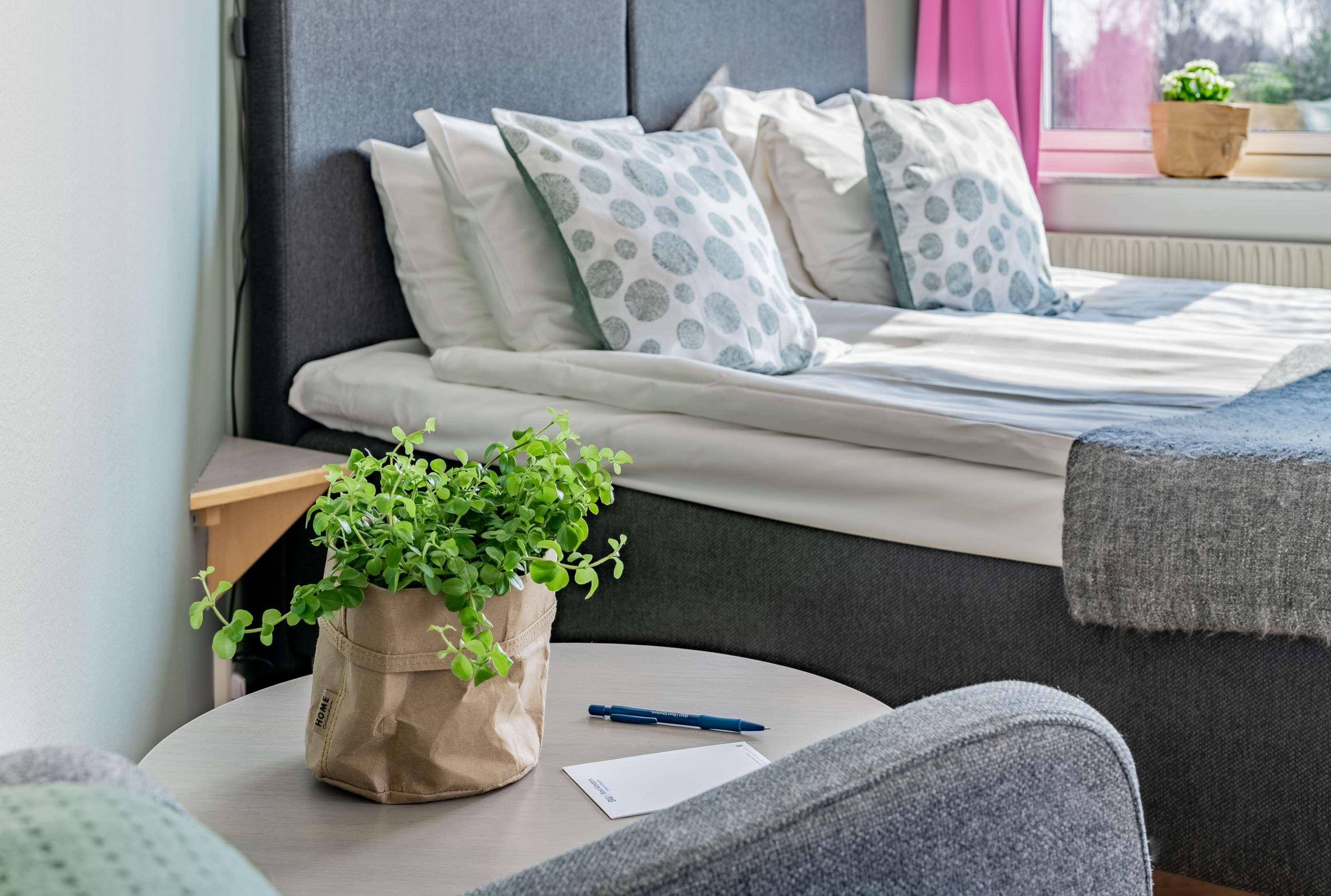 Triple Queen Bed Non Smoking