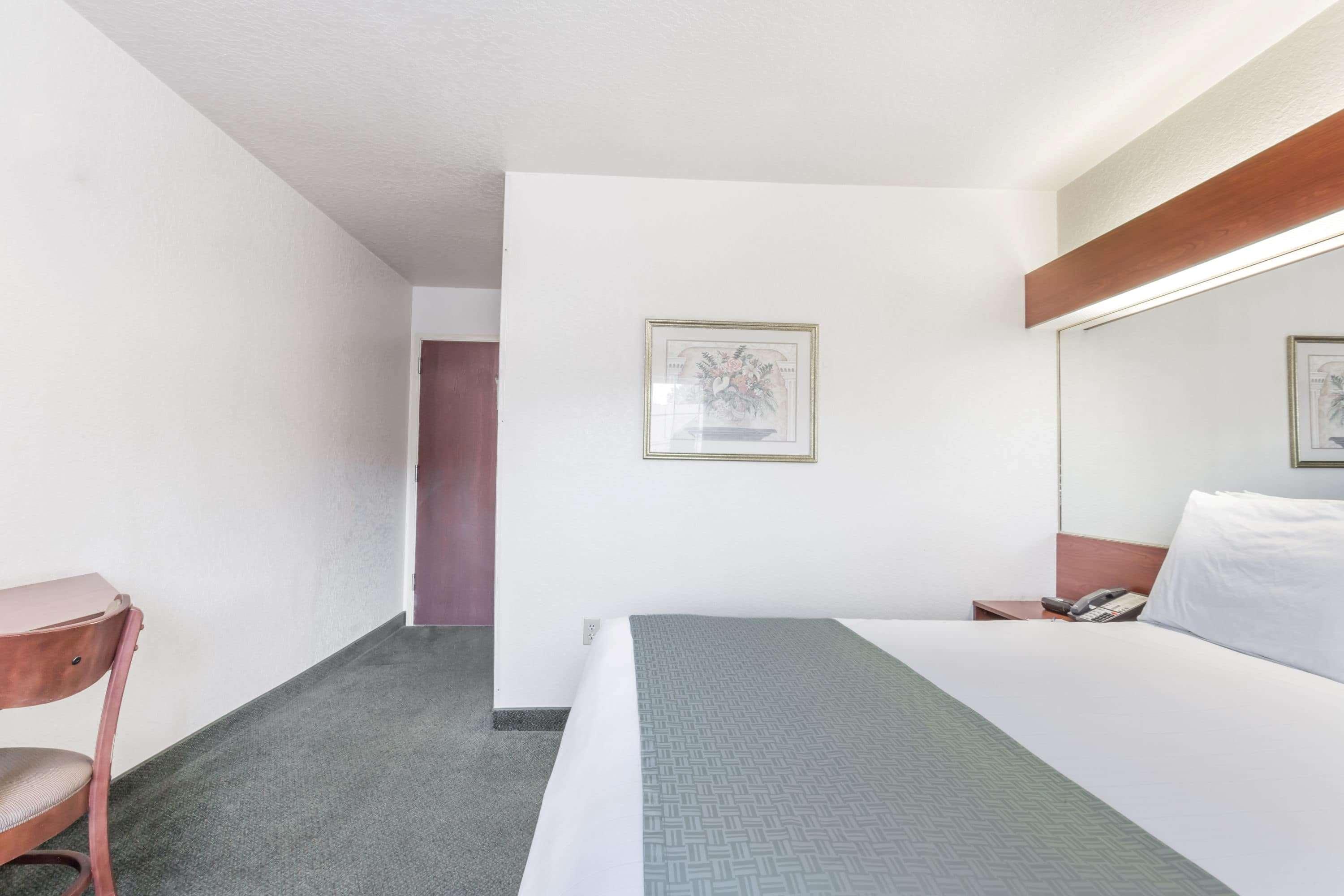 Suite Deluxe Queen Bed