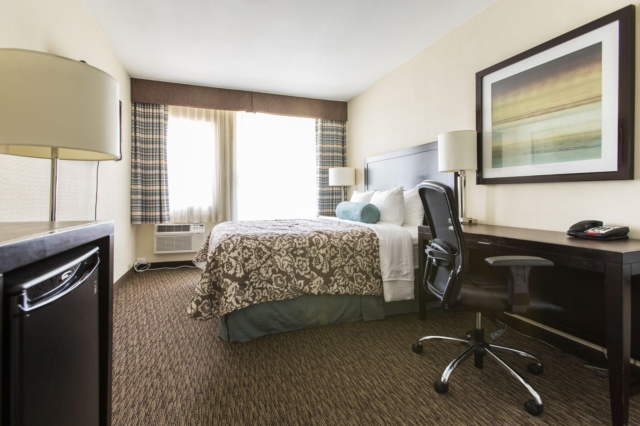 Double Queen Size Bed