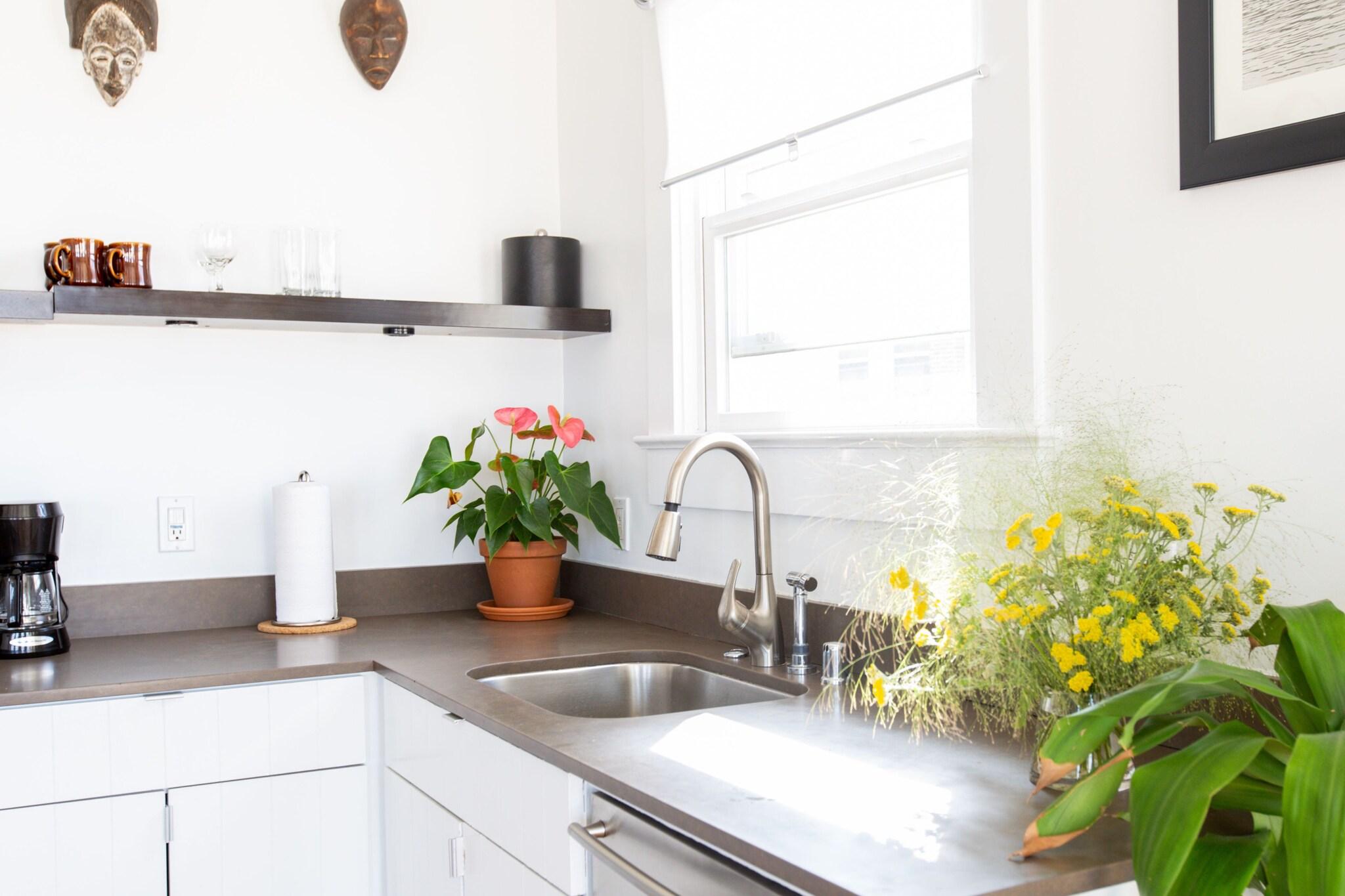 Suite Queen Size Bed