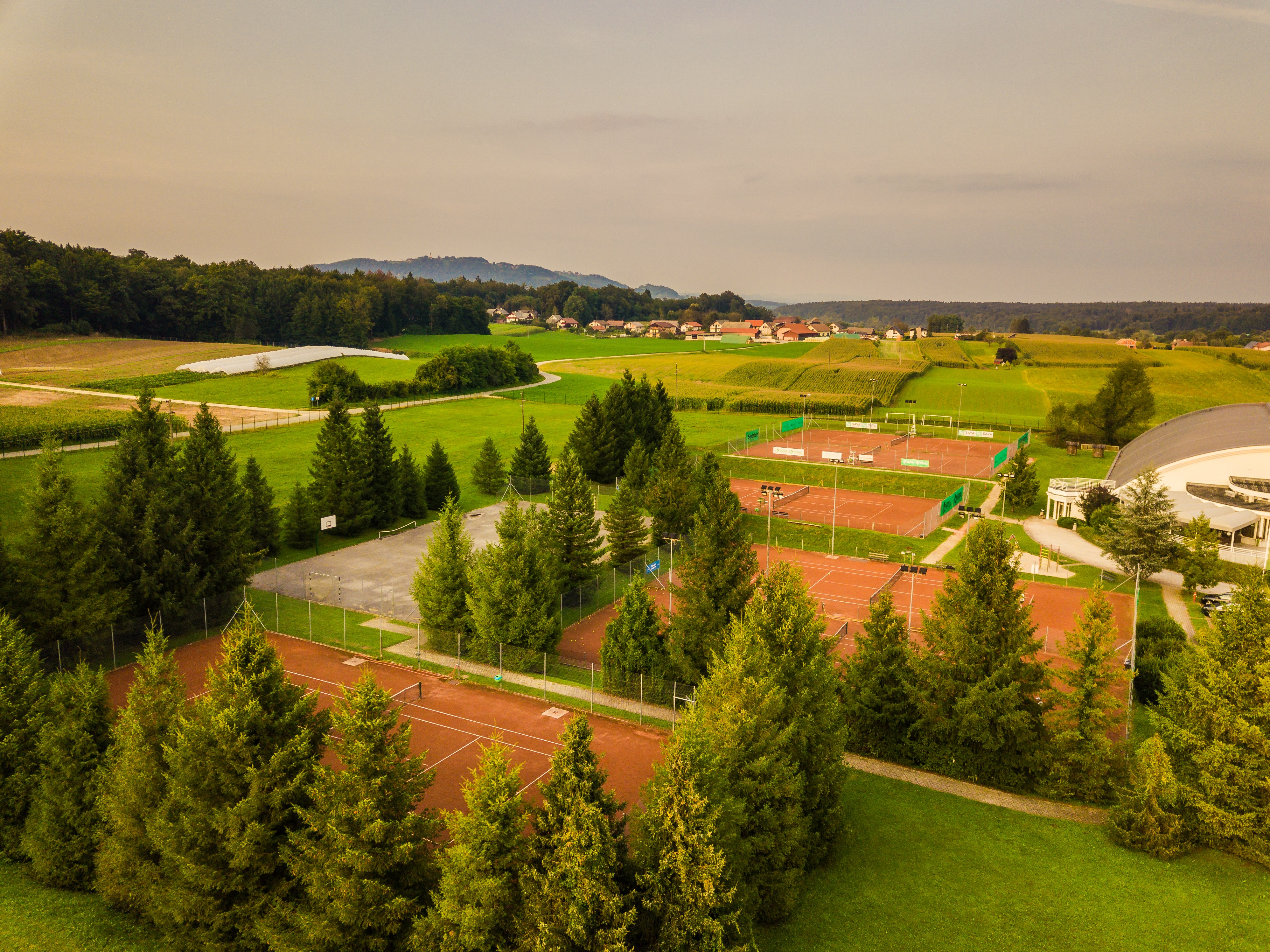 Sports and Entertainment