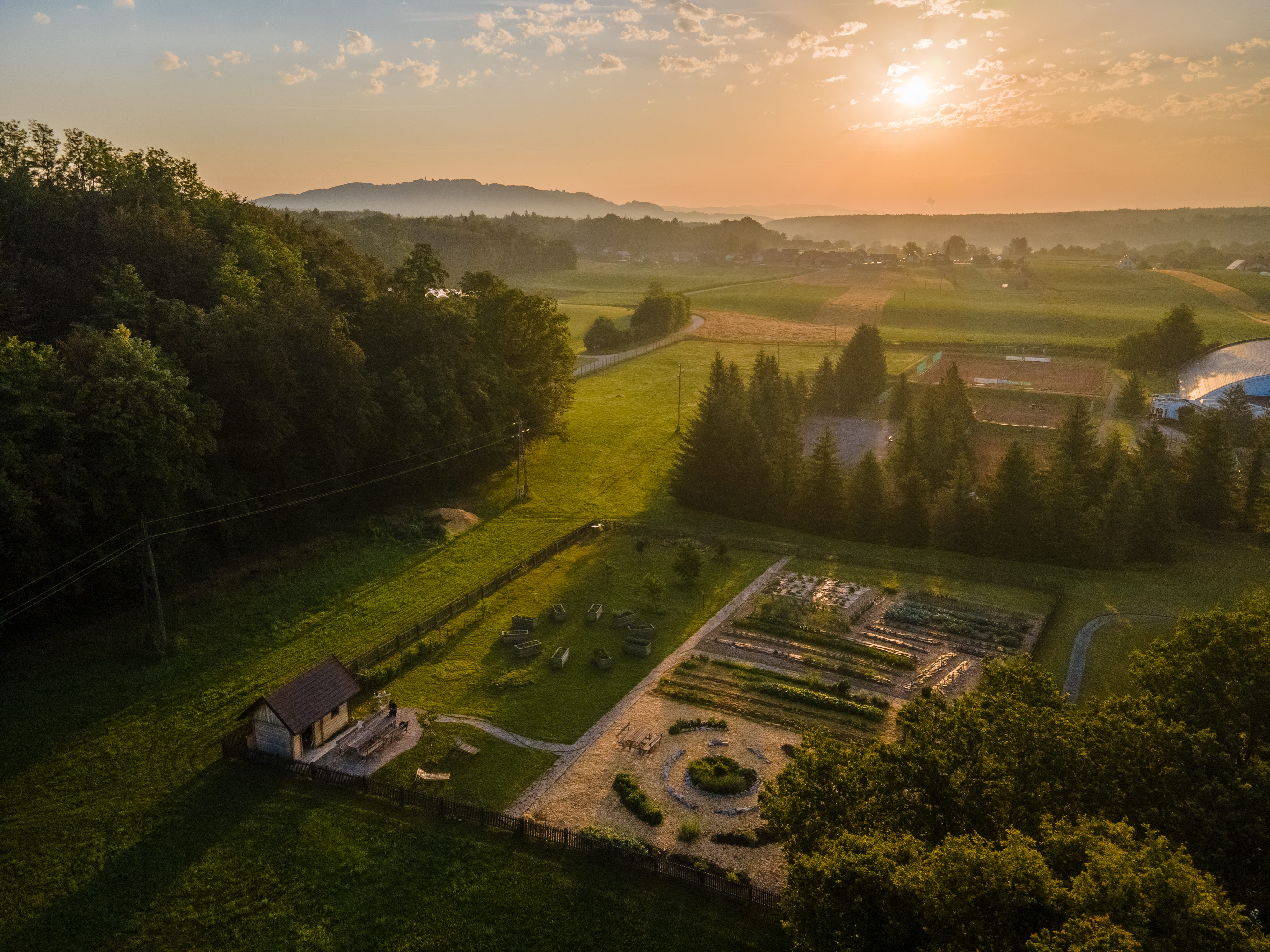 Sports and Entertainment