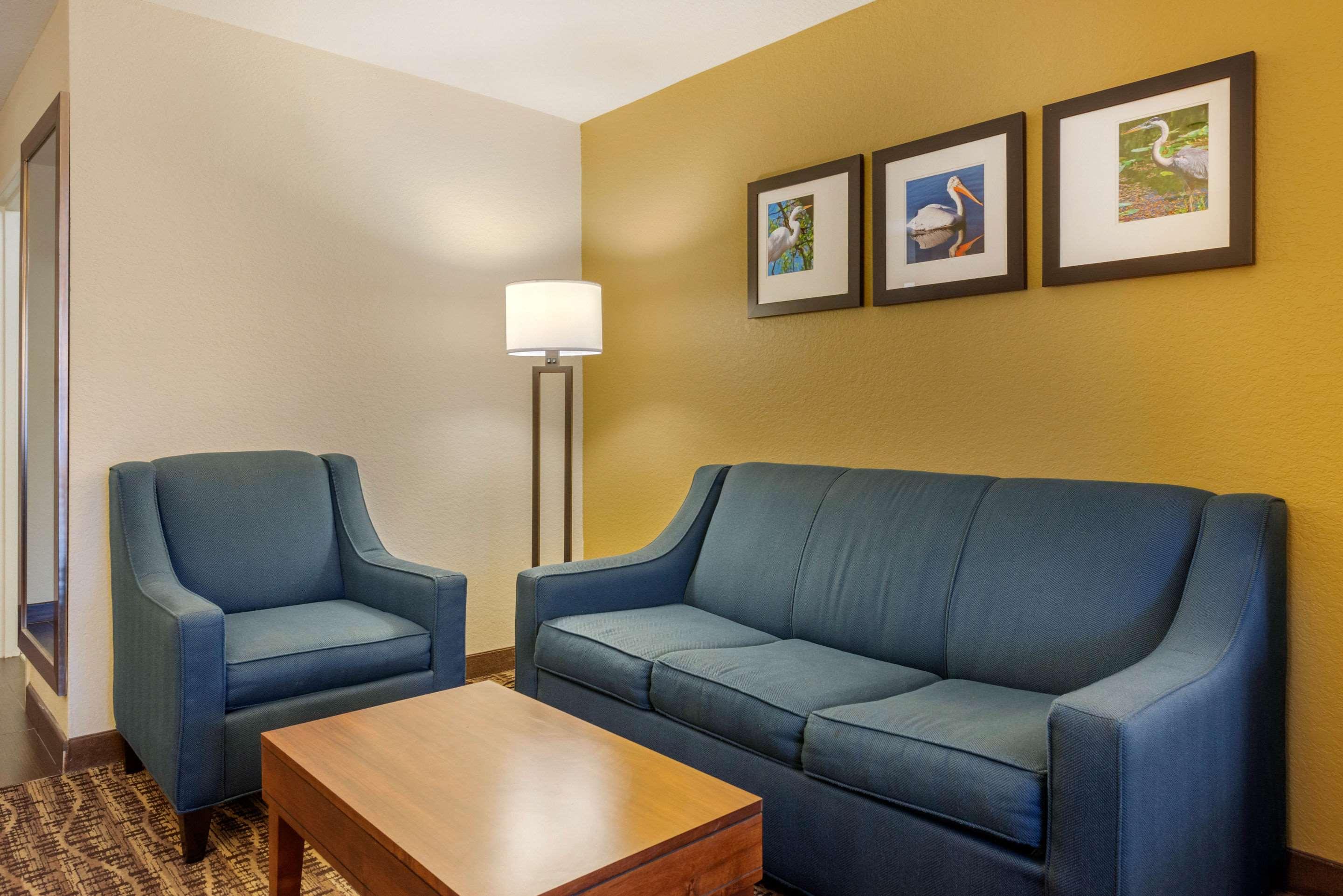 Suite King Bed Non Smoking