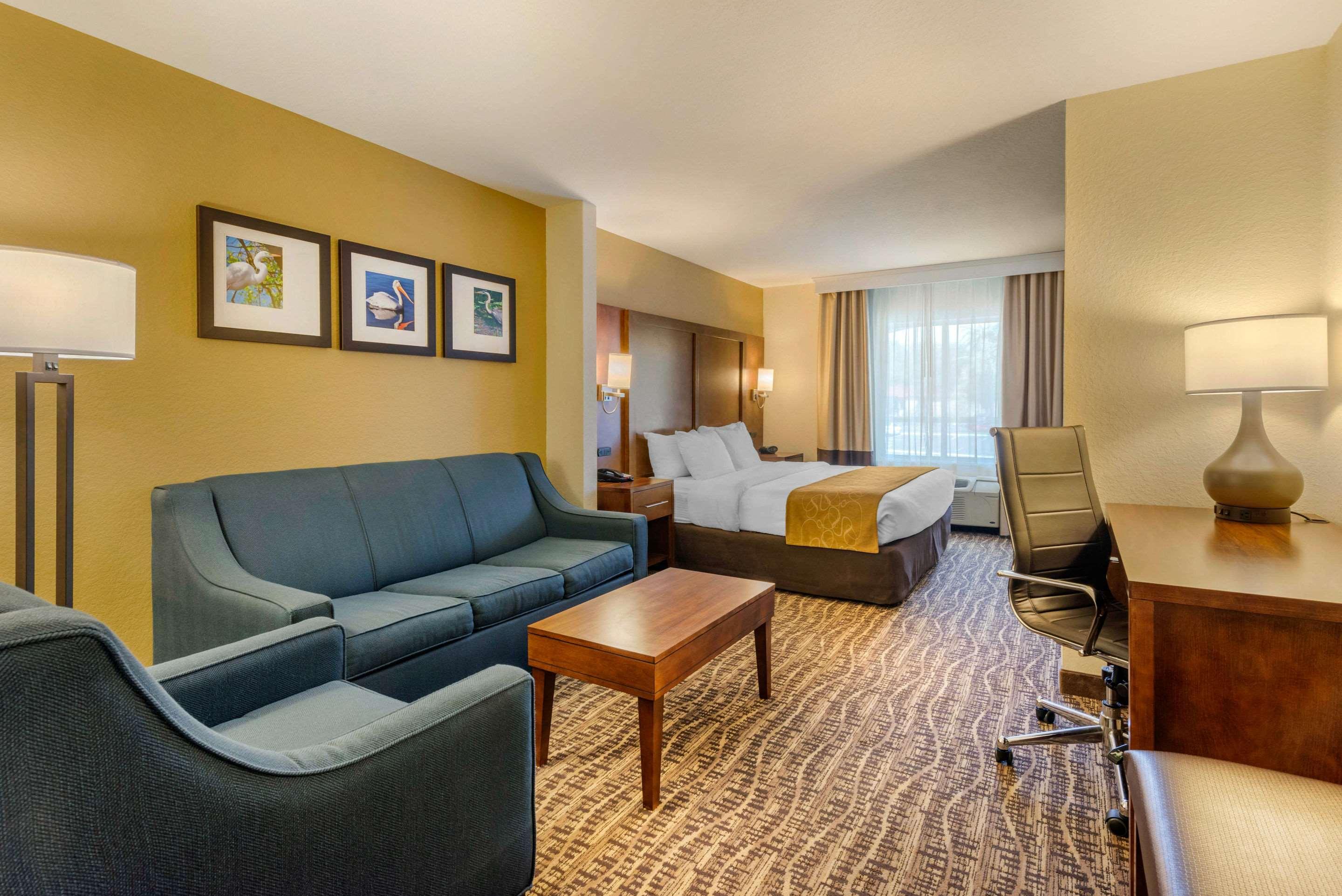 Suite King Bed Non Smoking