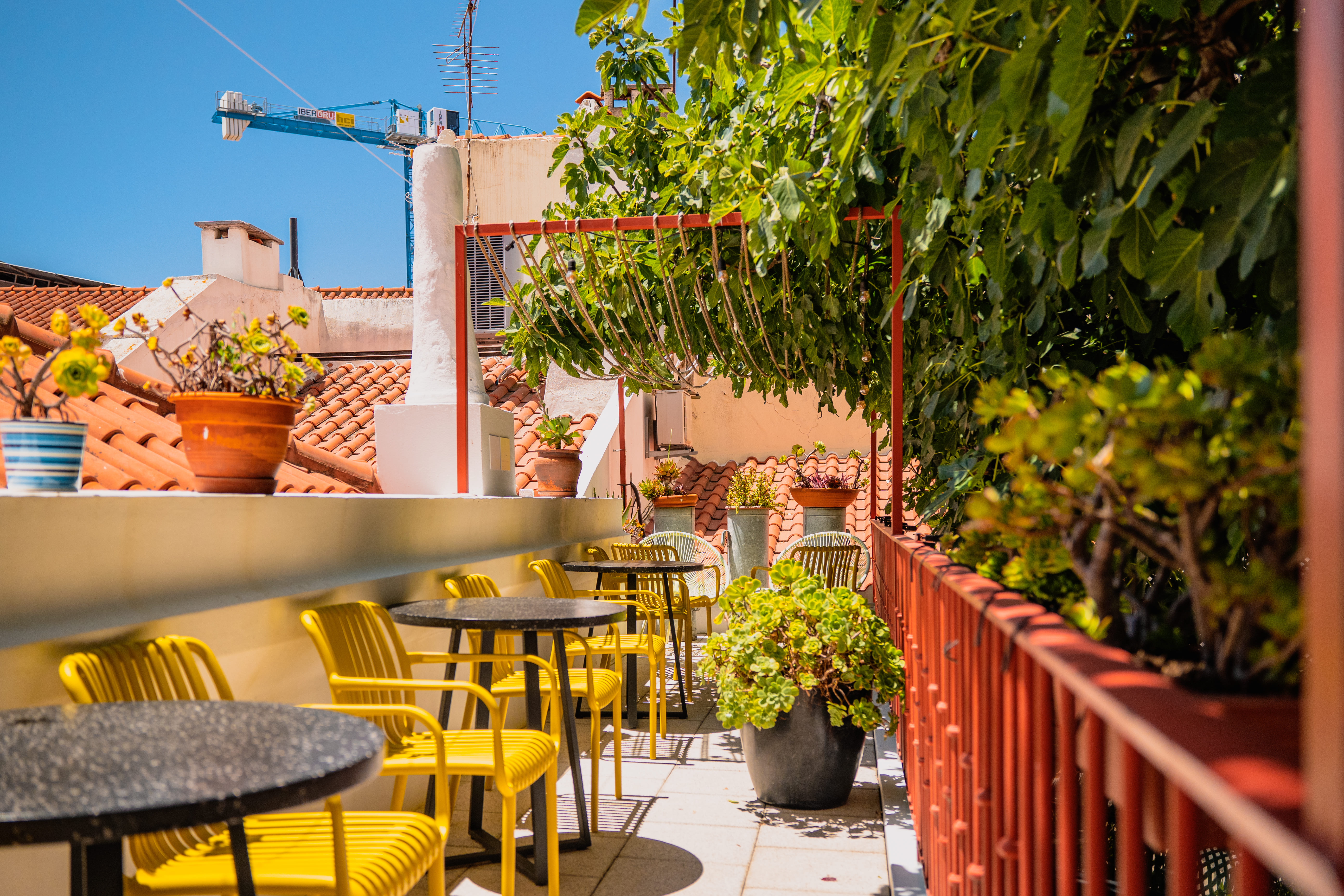 Terrace