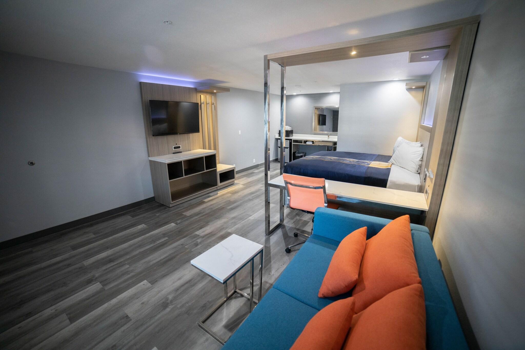 Suite King Bed Non Smoking