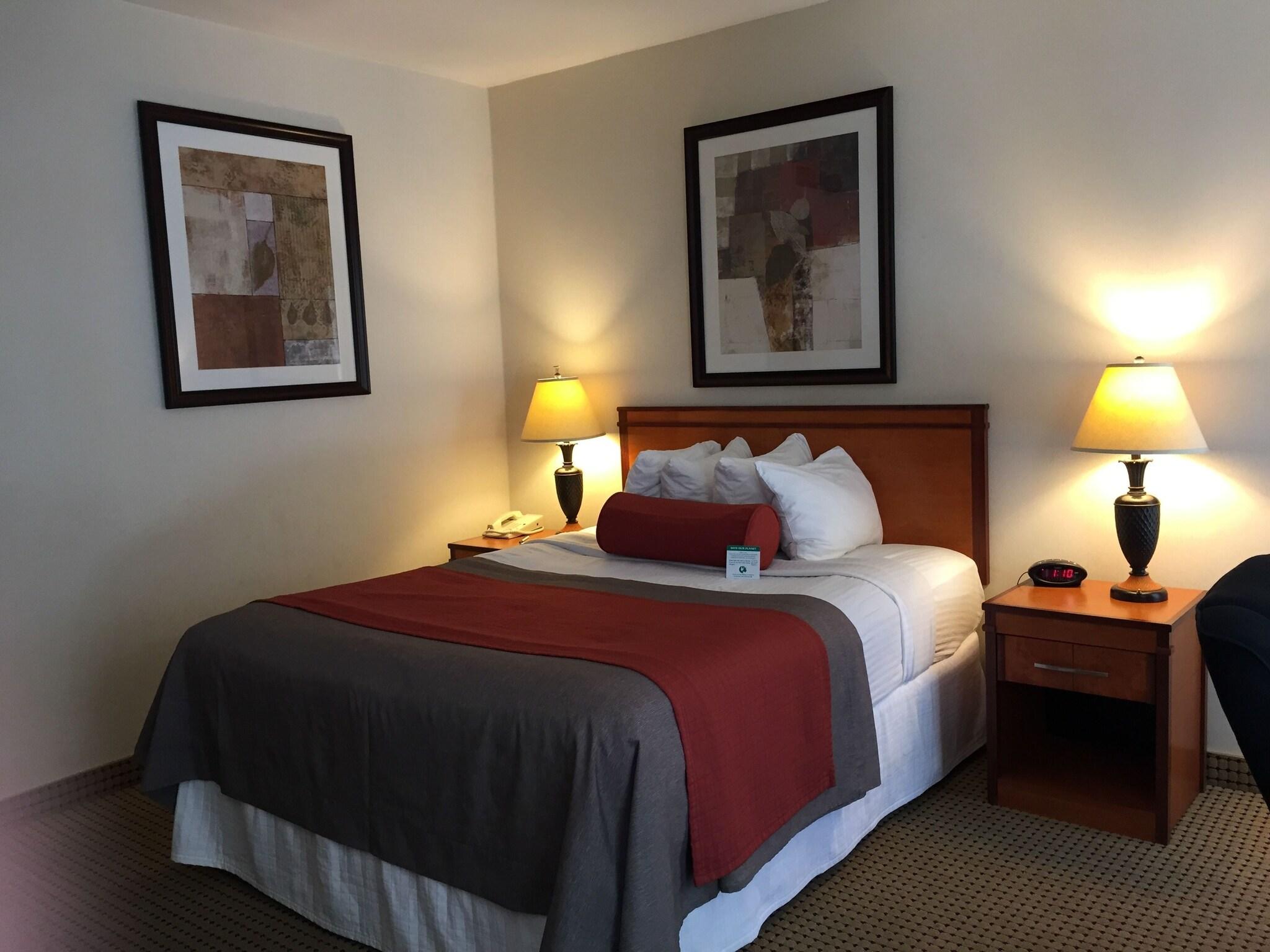 Double Queen Size Bed