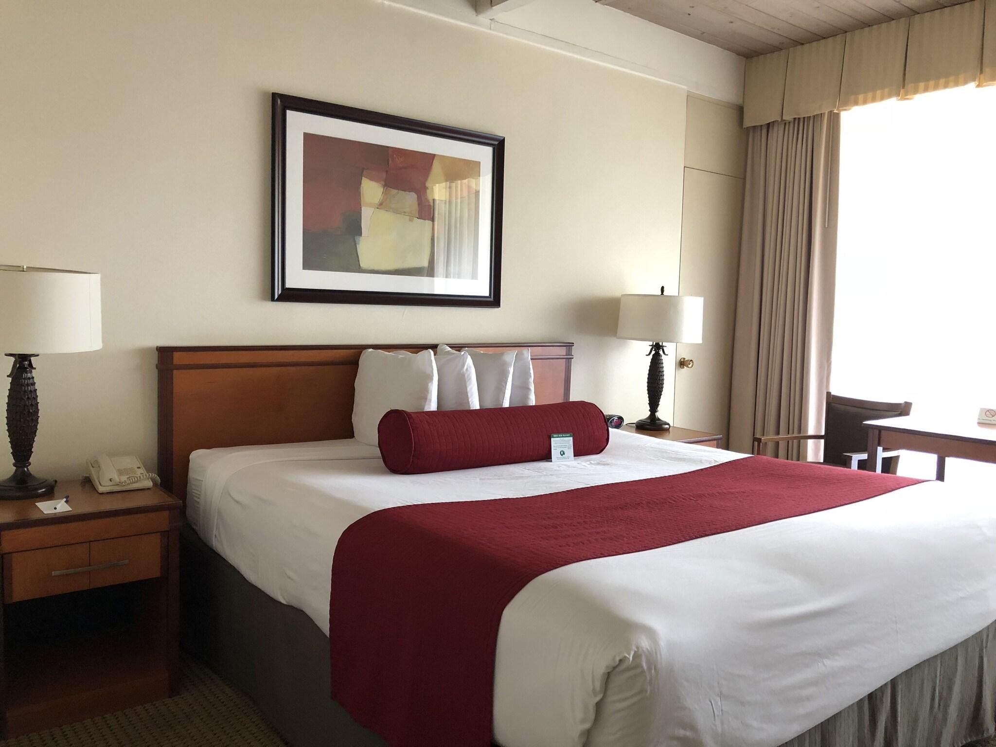 Double Accessible-queen Size Bed