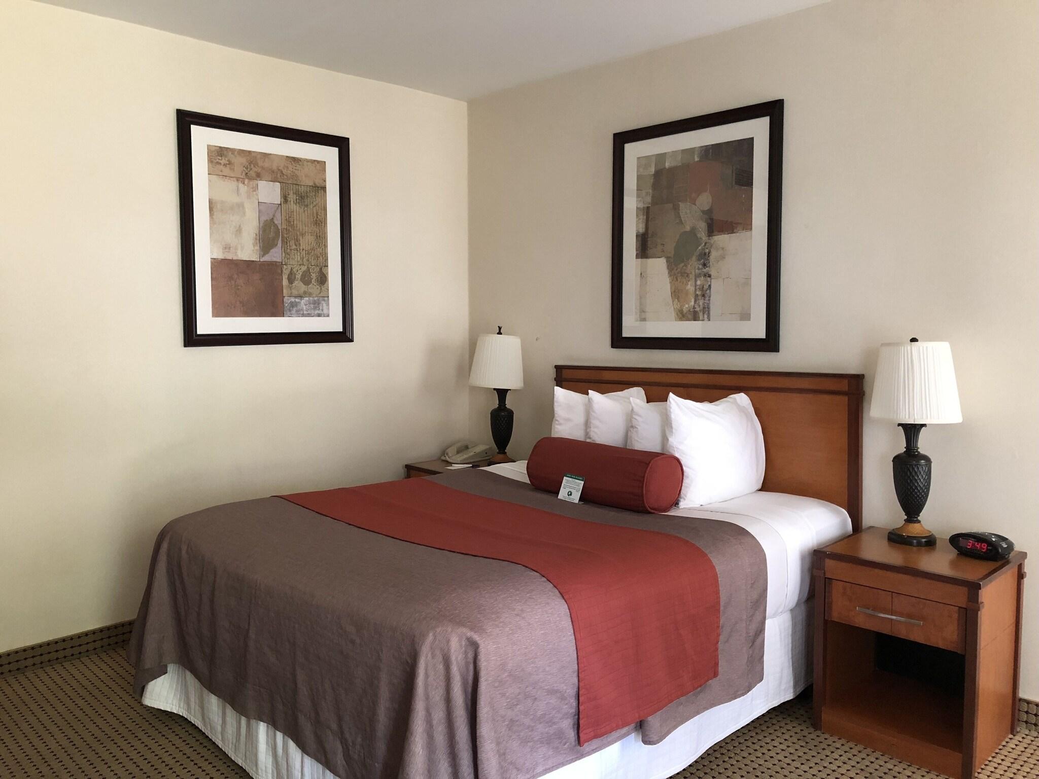 Double Accessible-queen Size Bed