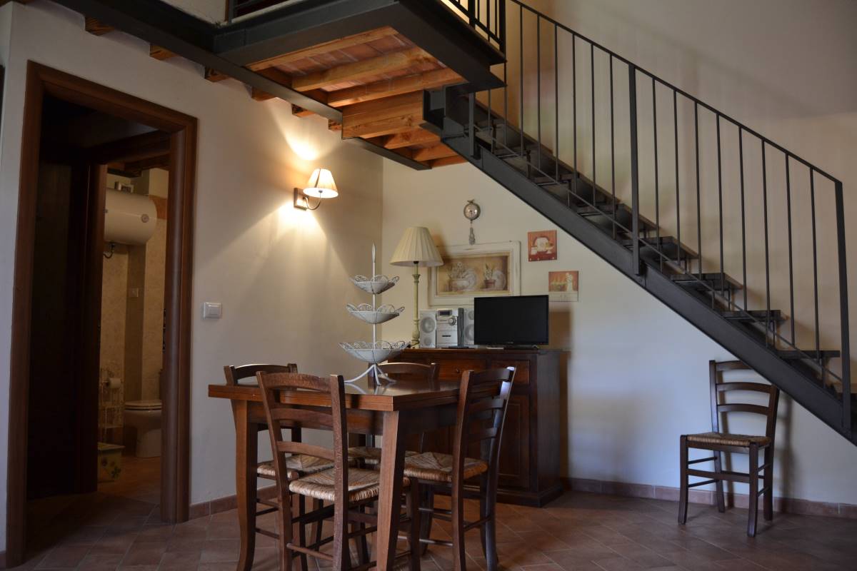 Apartment Garden View