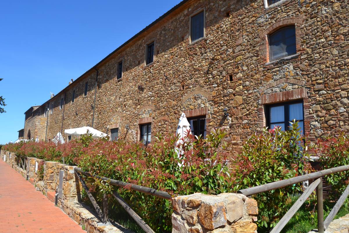 Apartment Garden View