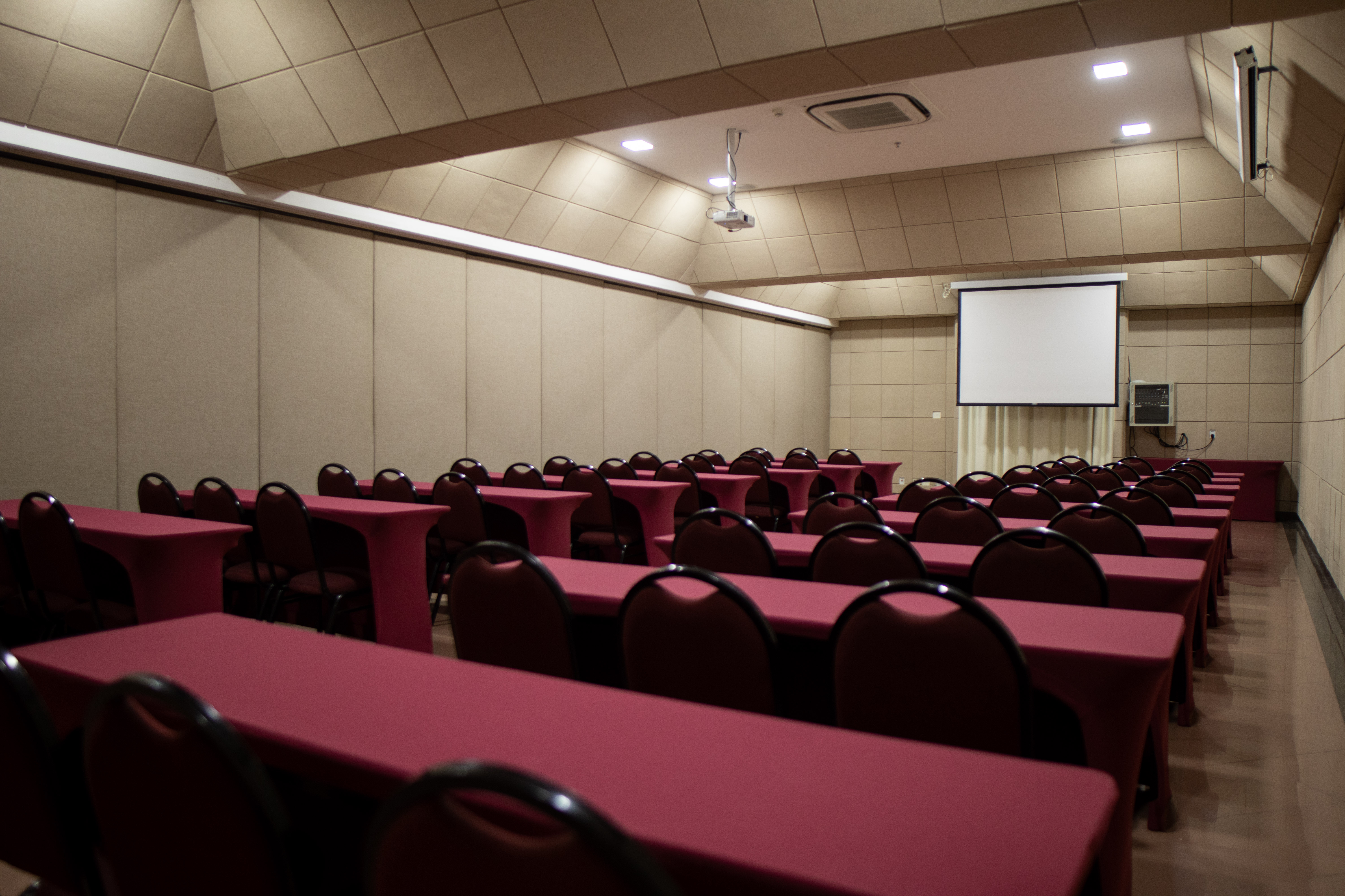 Conferences