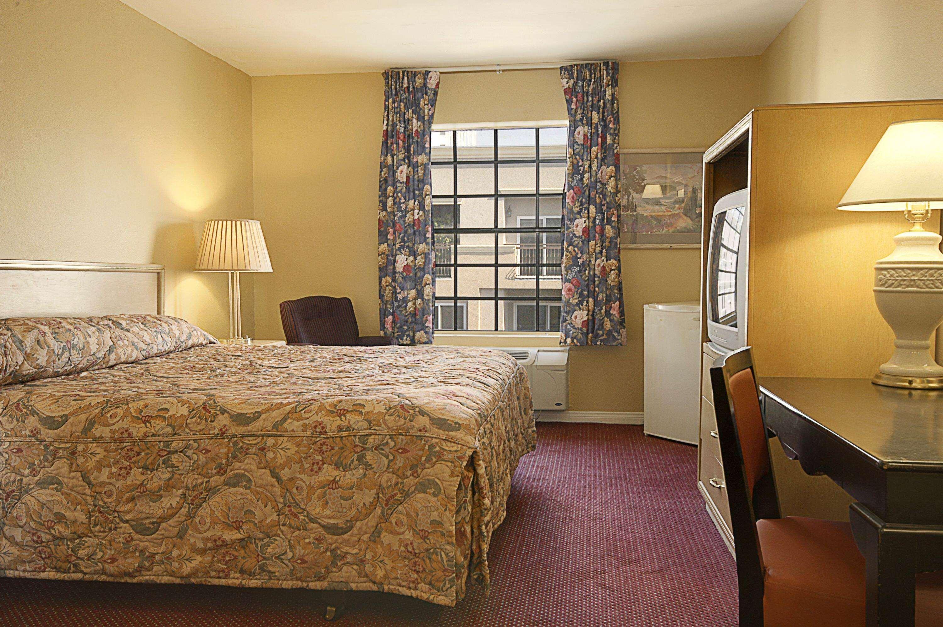 Room King Size Bed