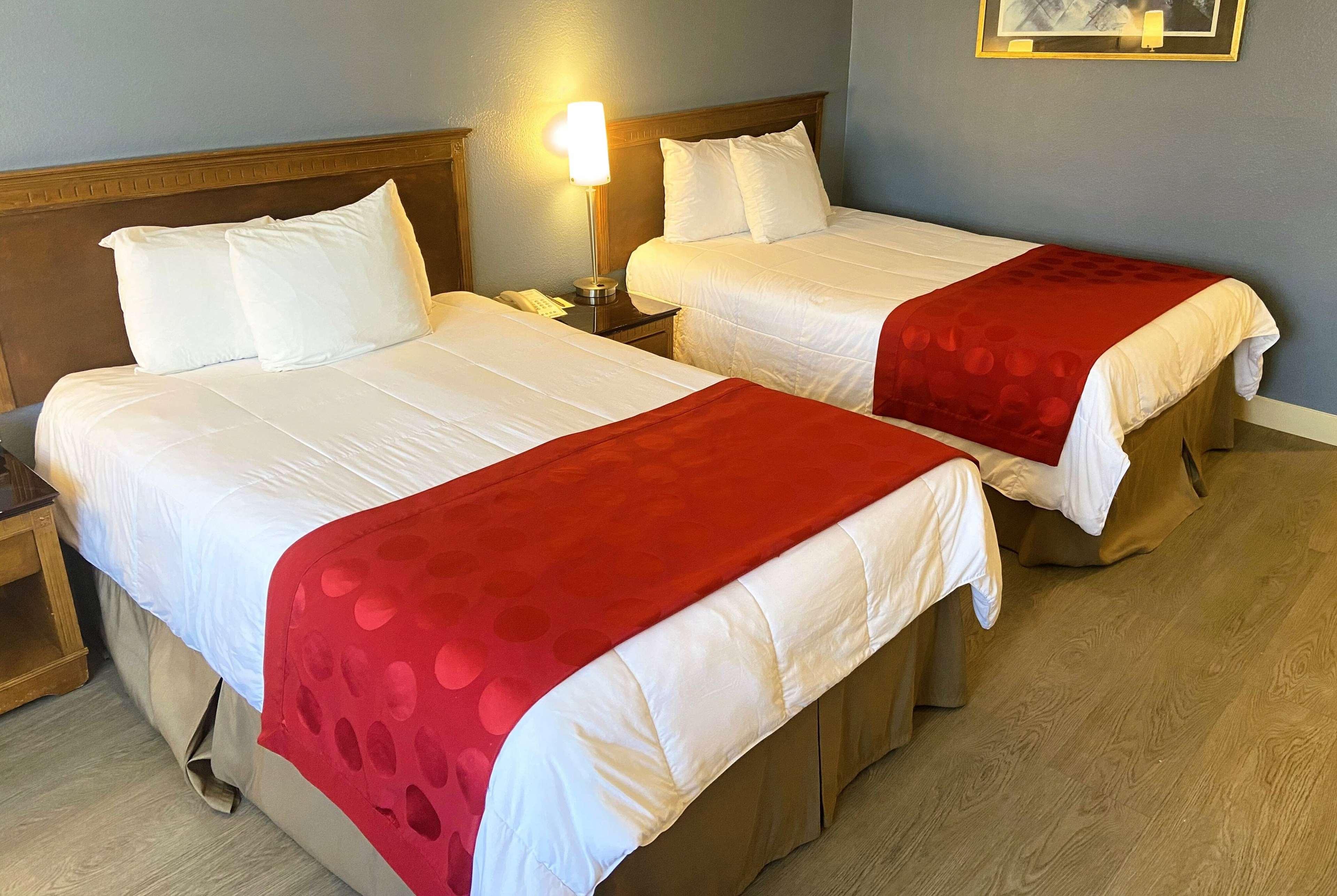 Double Two Double Beds