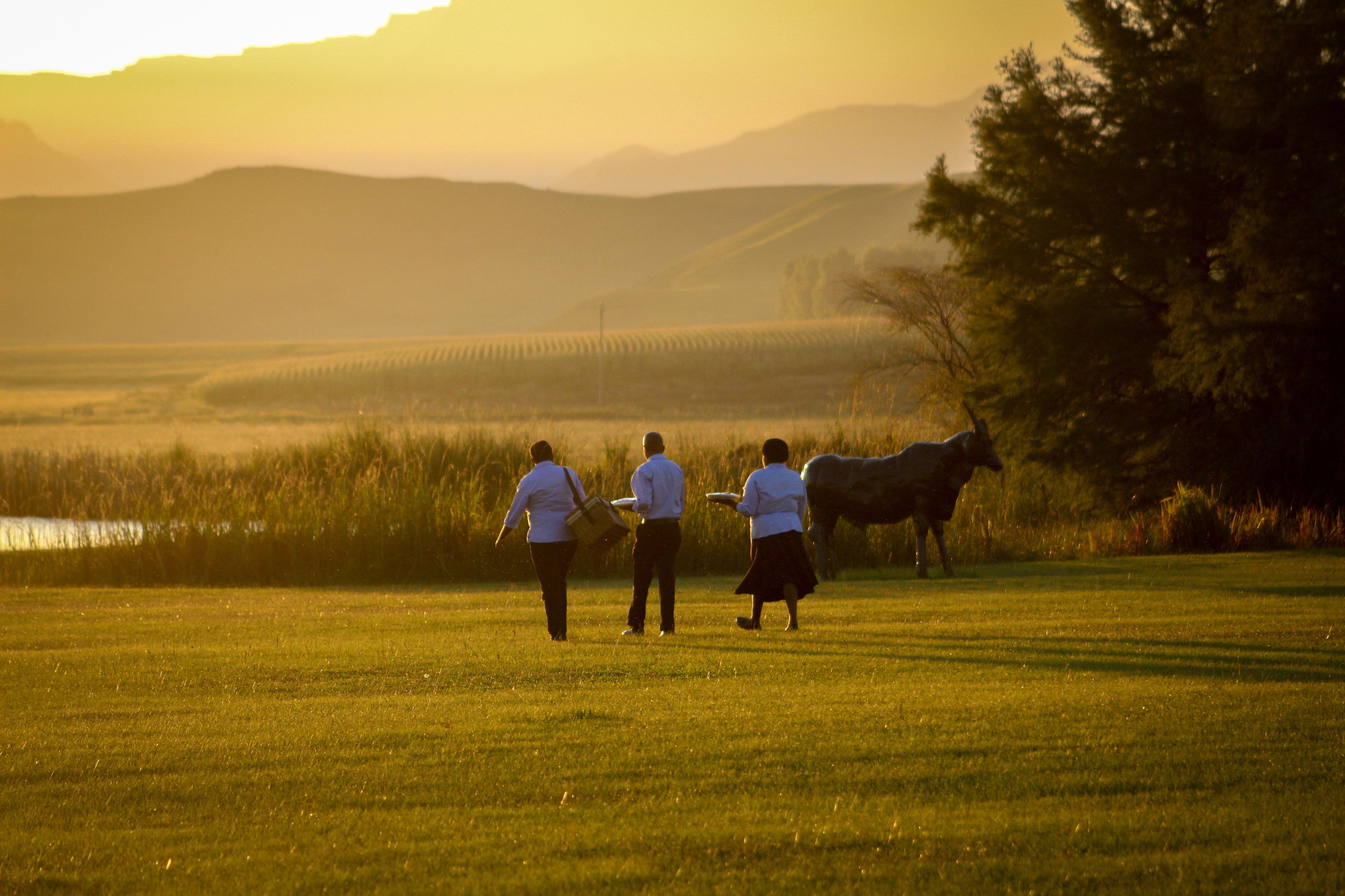 Sports and Entertainment