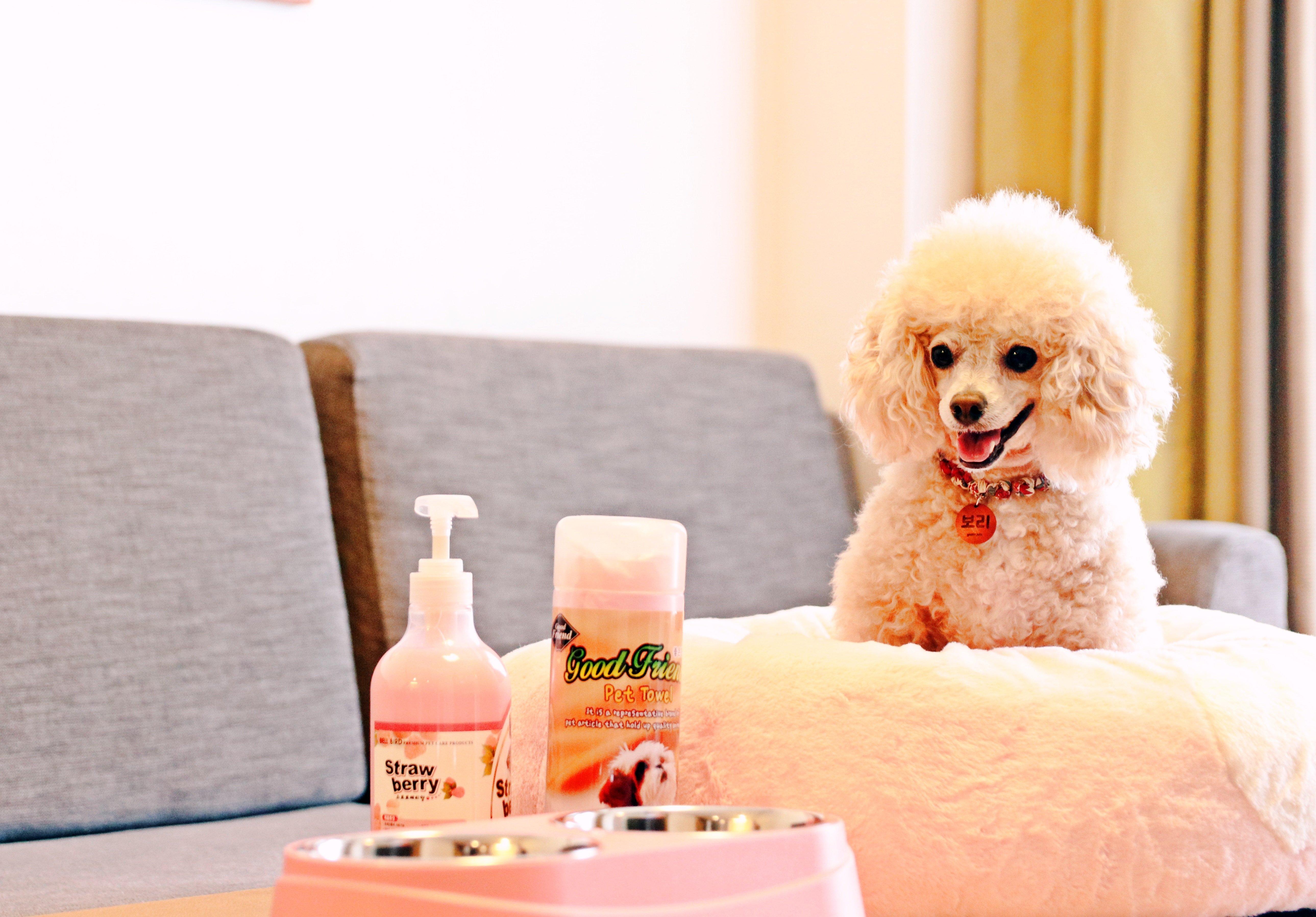 Suite Queen Size Bed