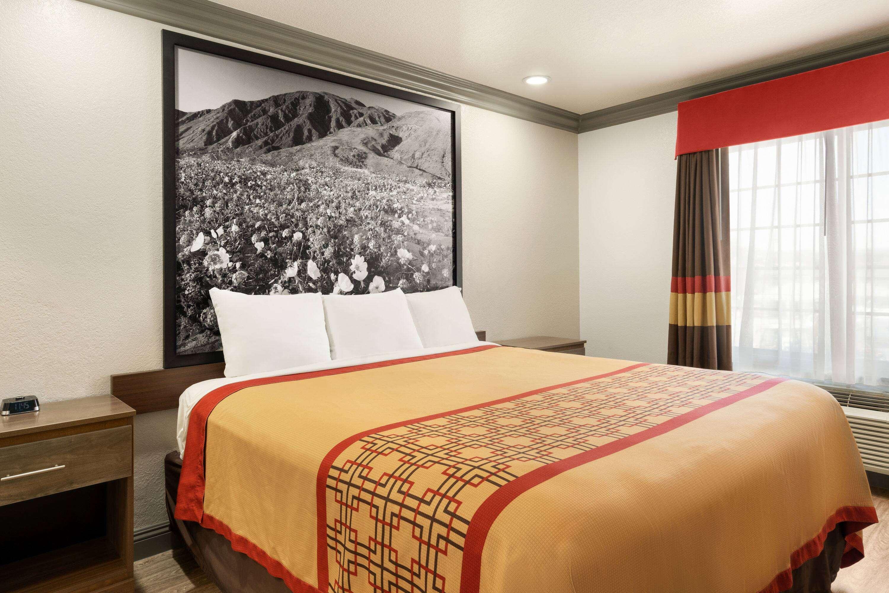 Room King Bed Non Smoking