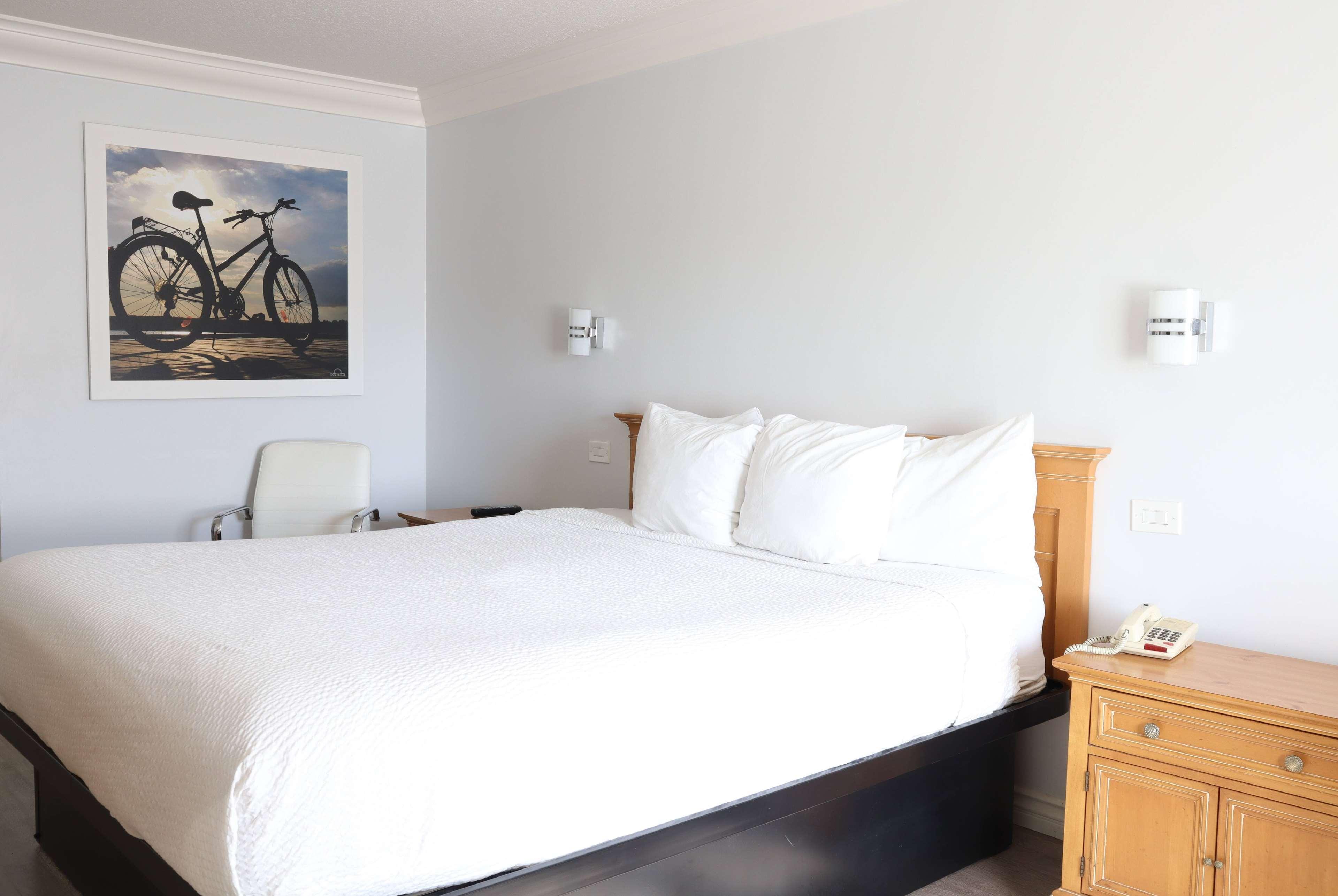 Double King Bed Non Smoking