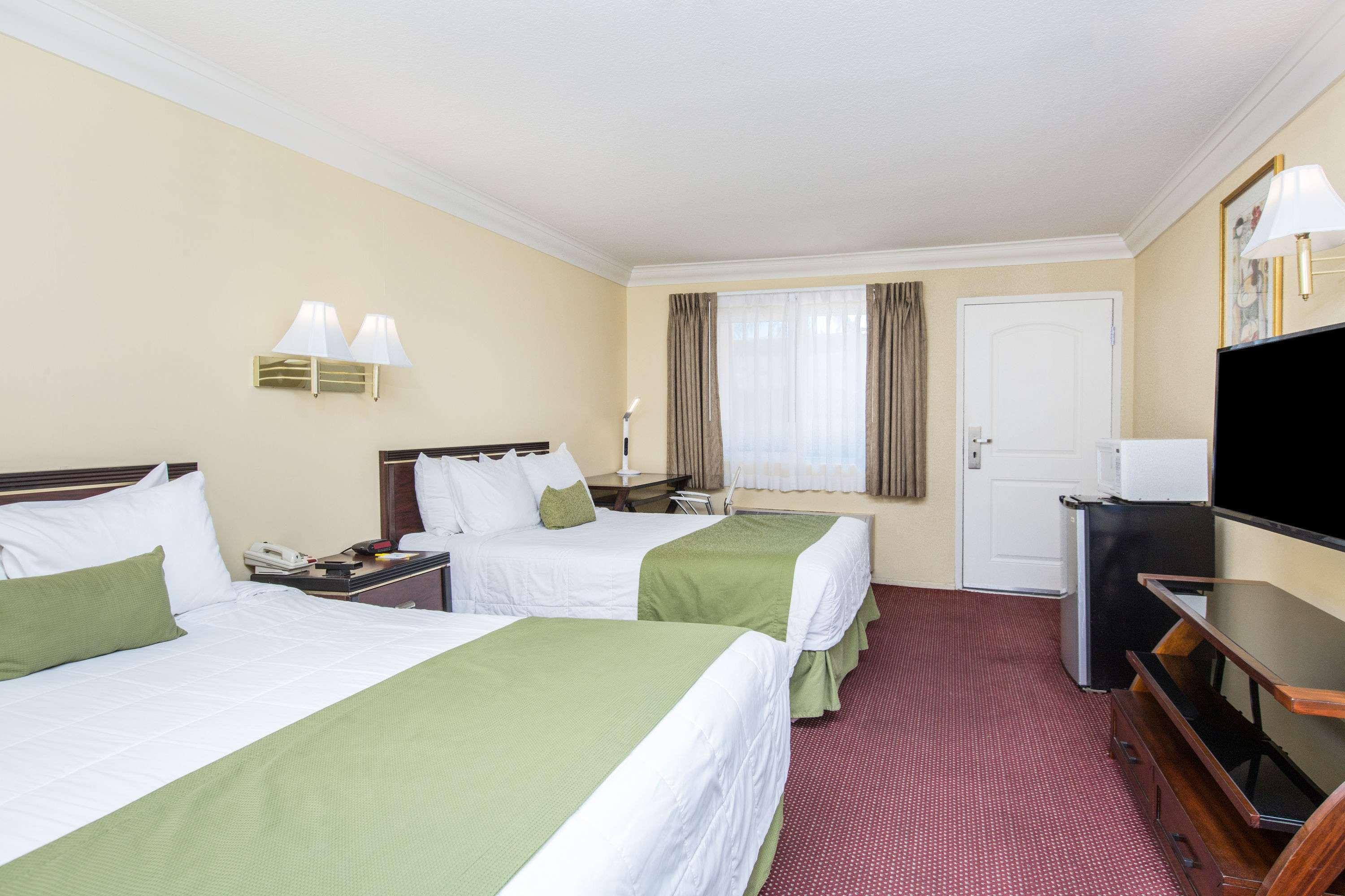 Quadruple Two Queen Beds