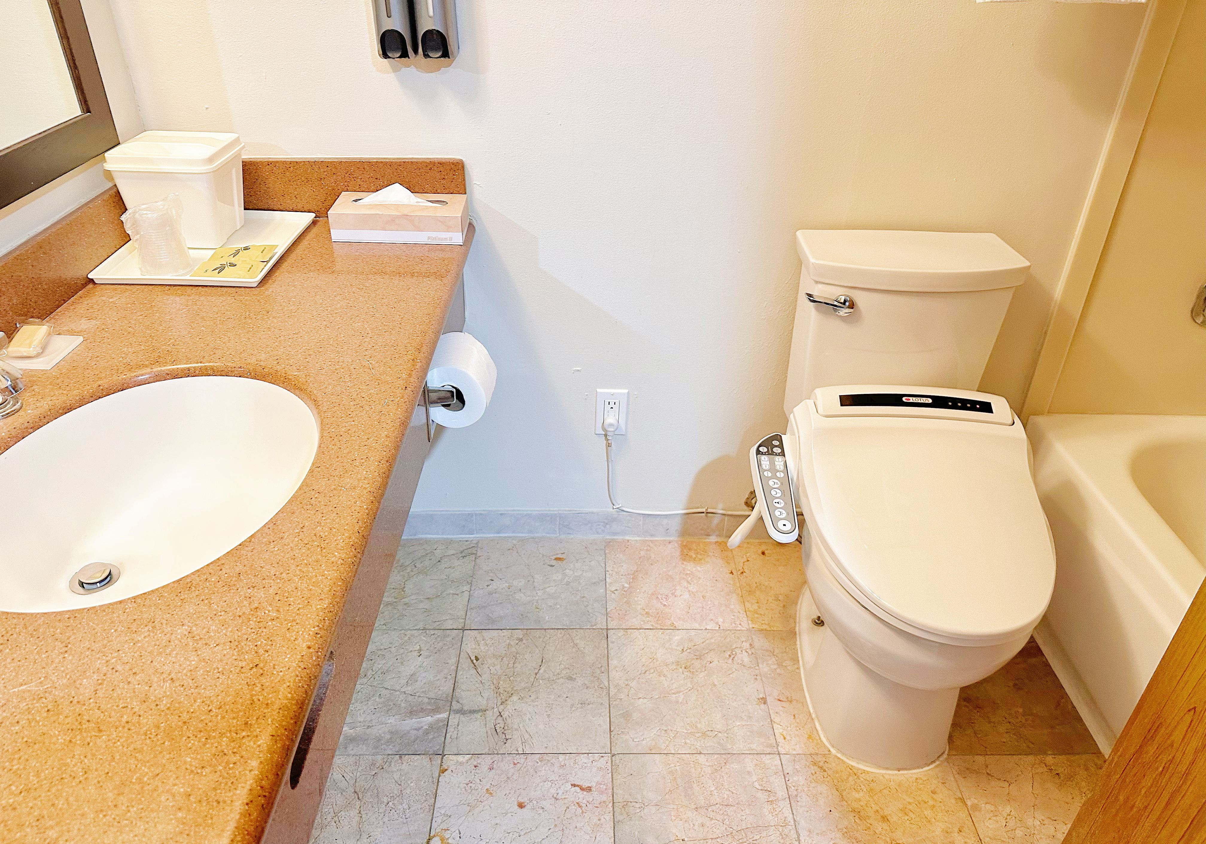 Suite King Bed One Bedroom 