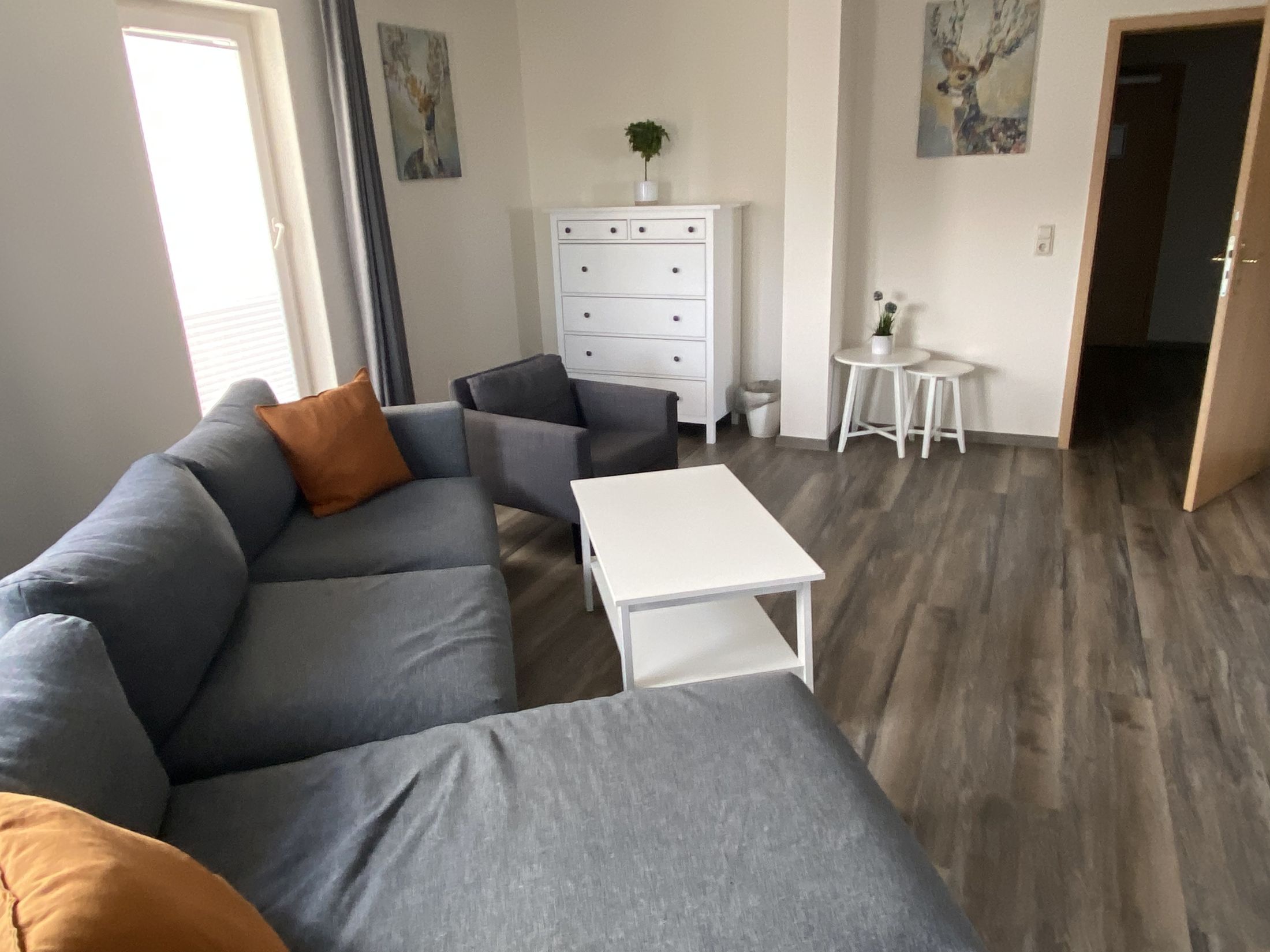 Junior Suite Standard