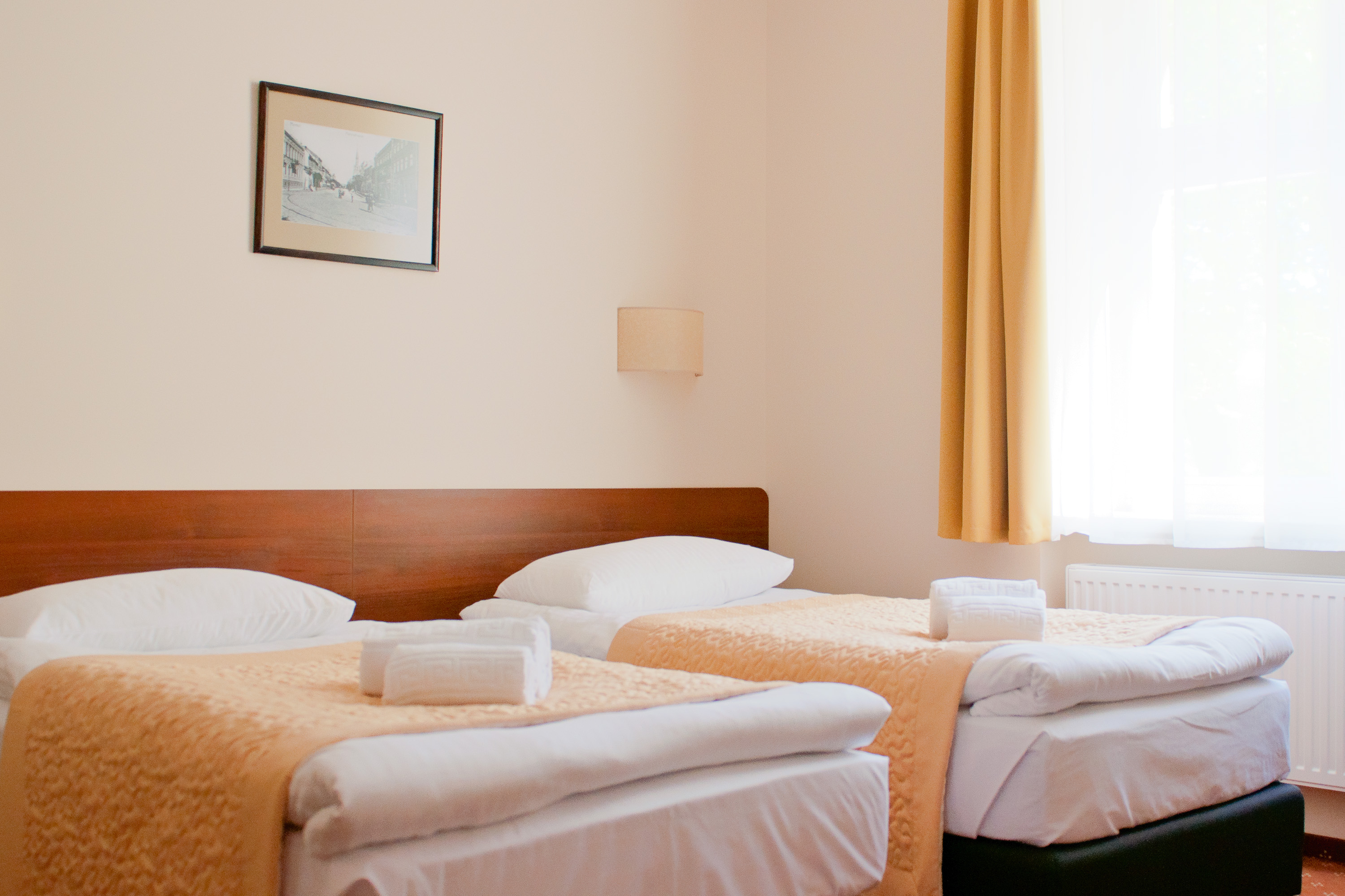 Double or Twin Standard