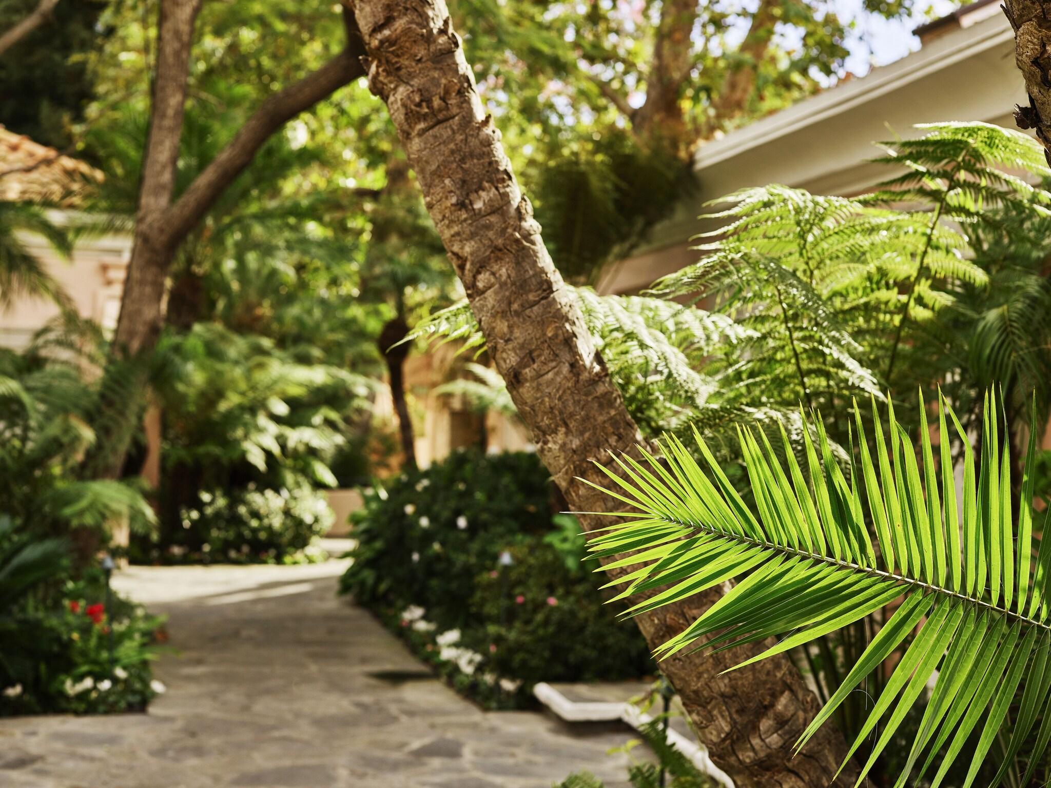 Double Deluxe King Bed