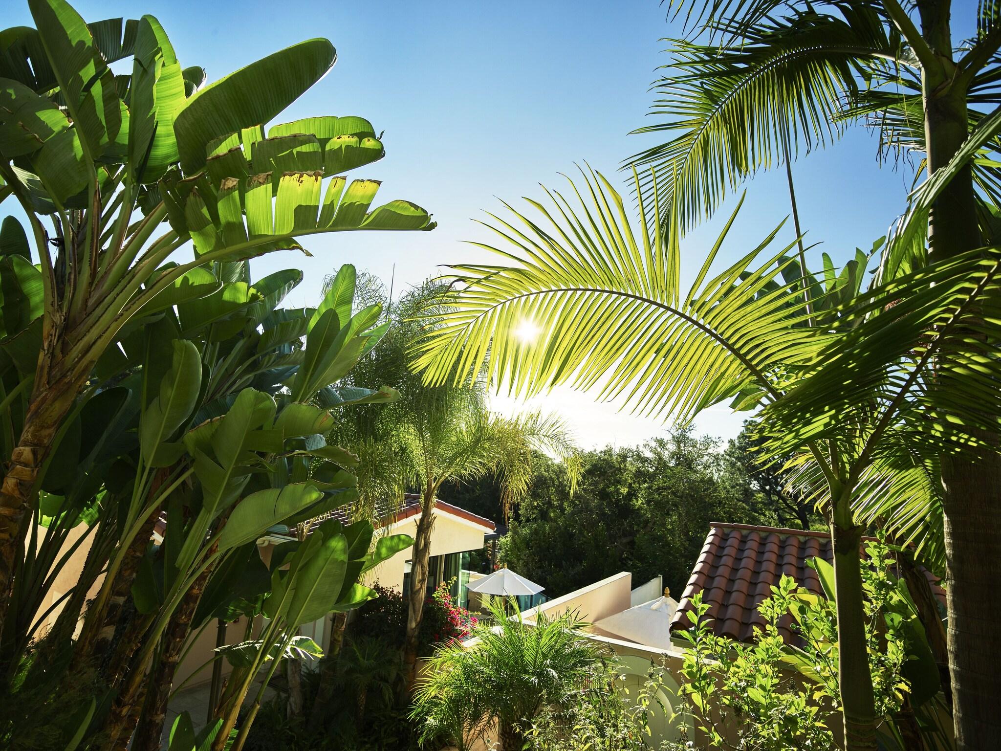 Studio King Size Bed