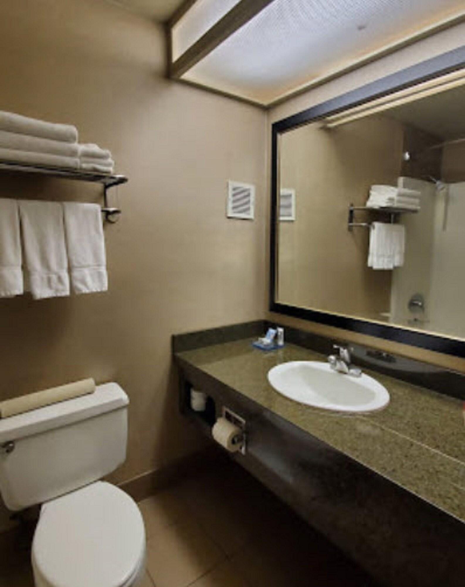 Suite Executive King Bed