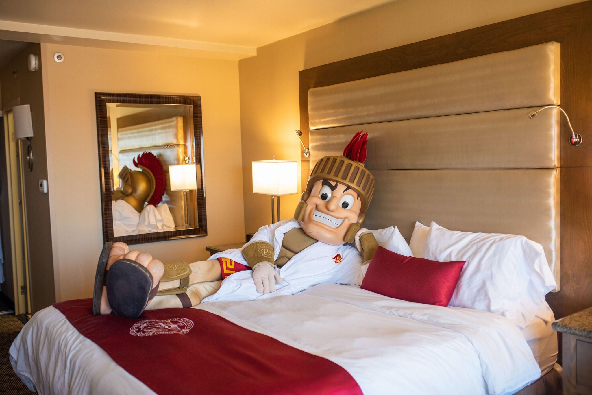 Suite Executive King Bed