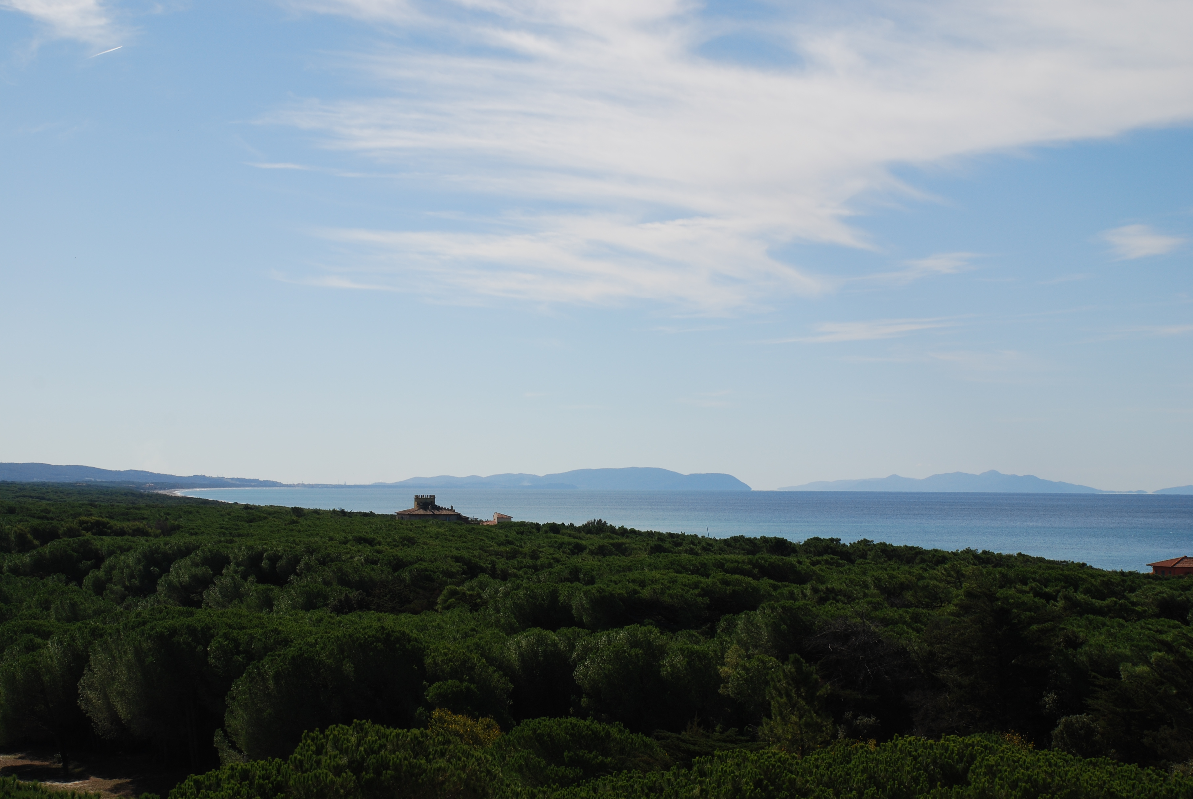 Double Single Comfort