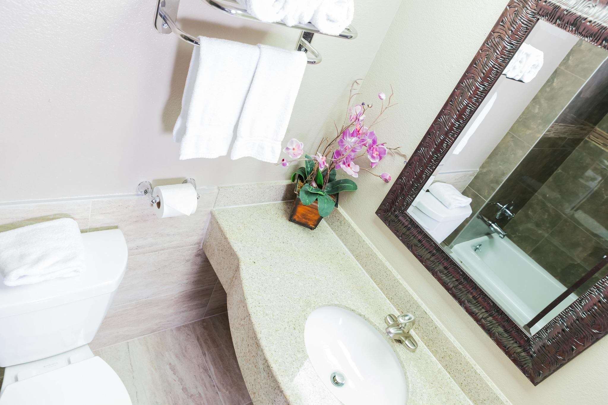 Double King Bed Non Smoking