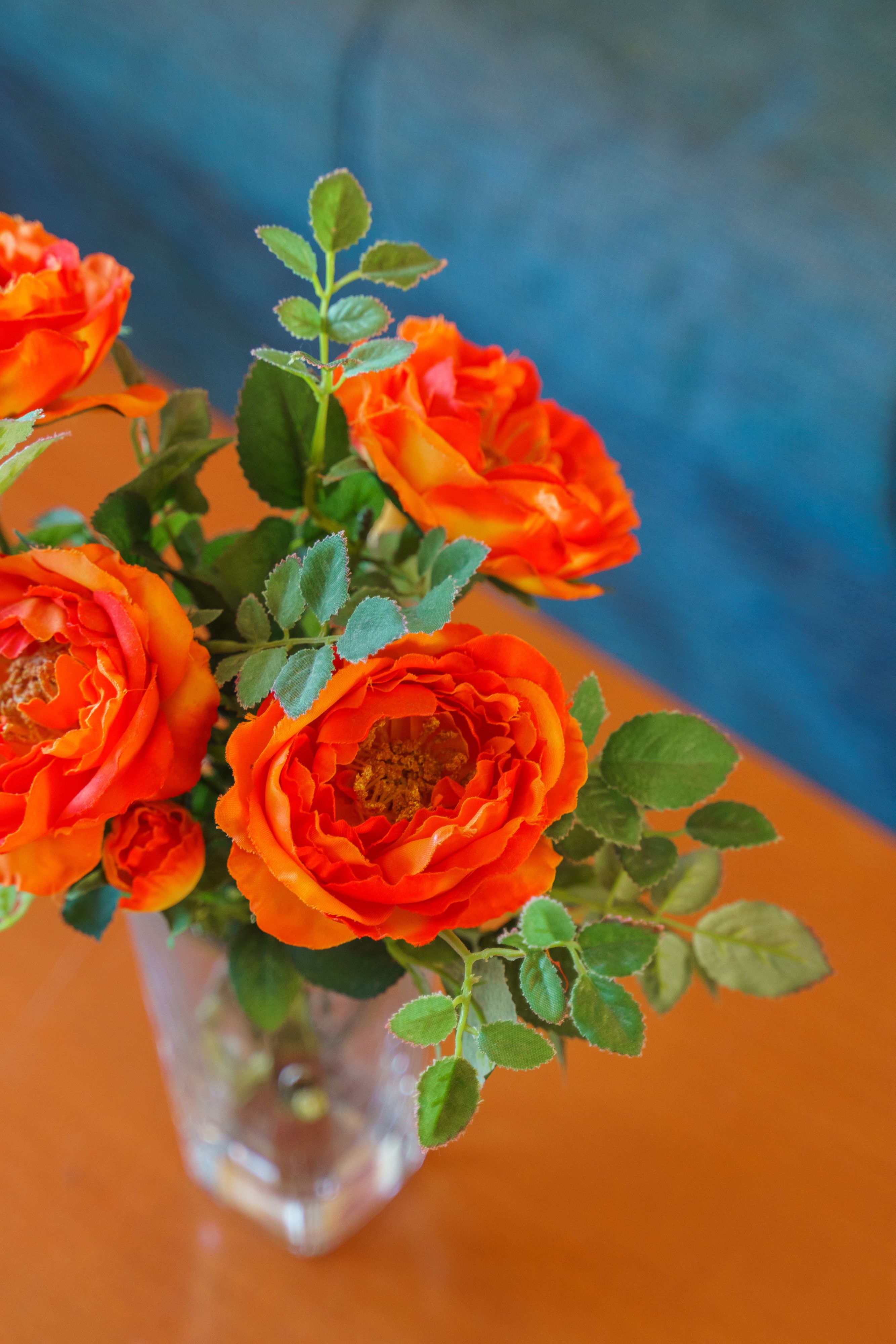 Double or Twin Garden View