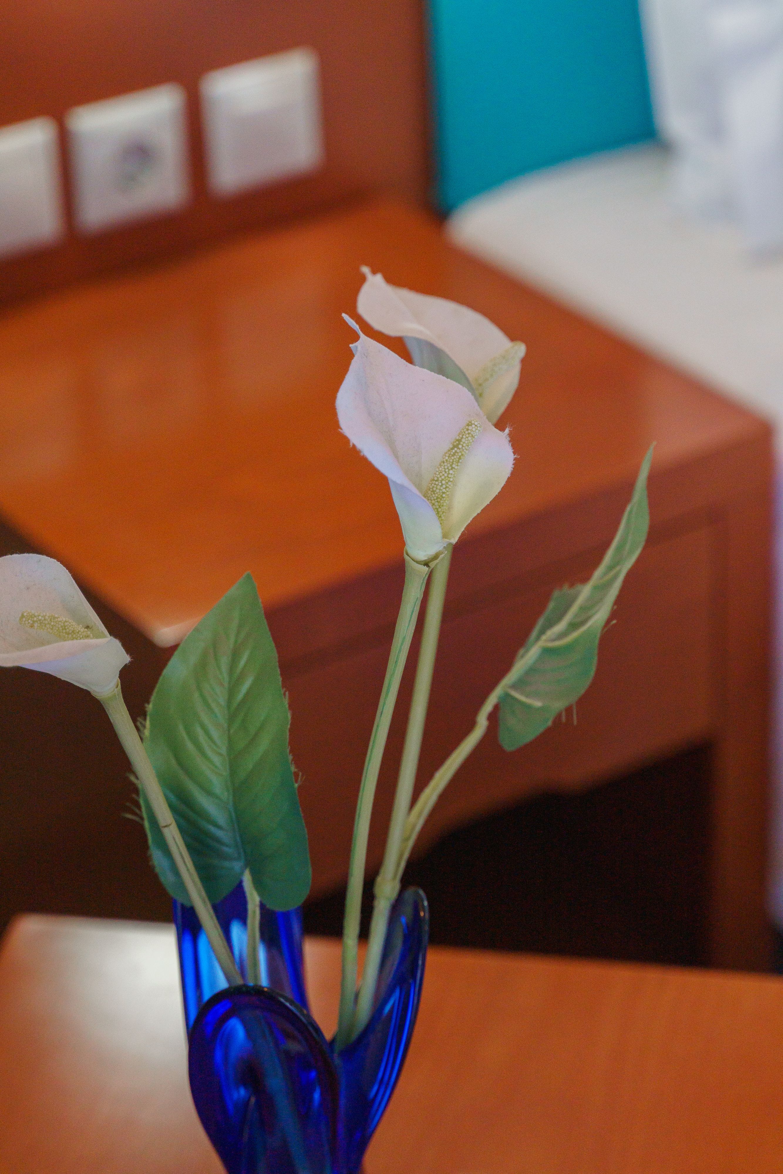 Double or Twin Partial Sea View