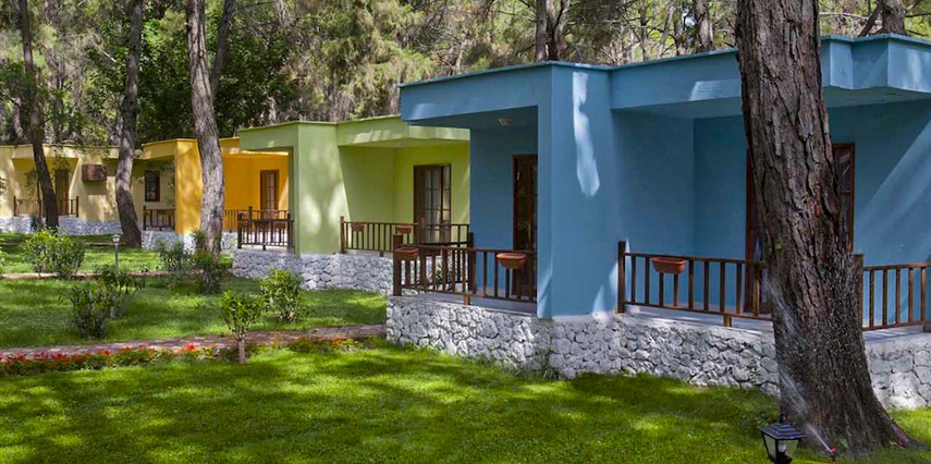 Bungalow Accessible King Size Bed