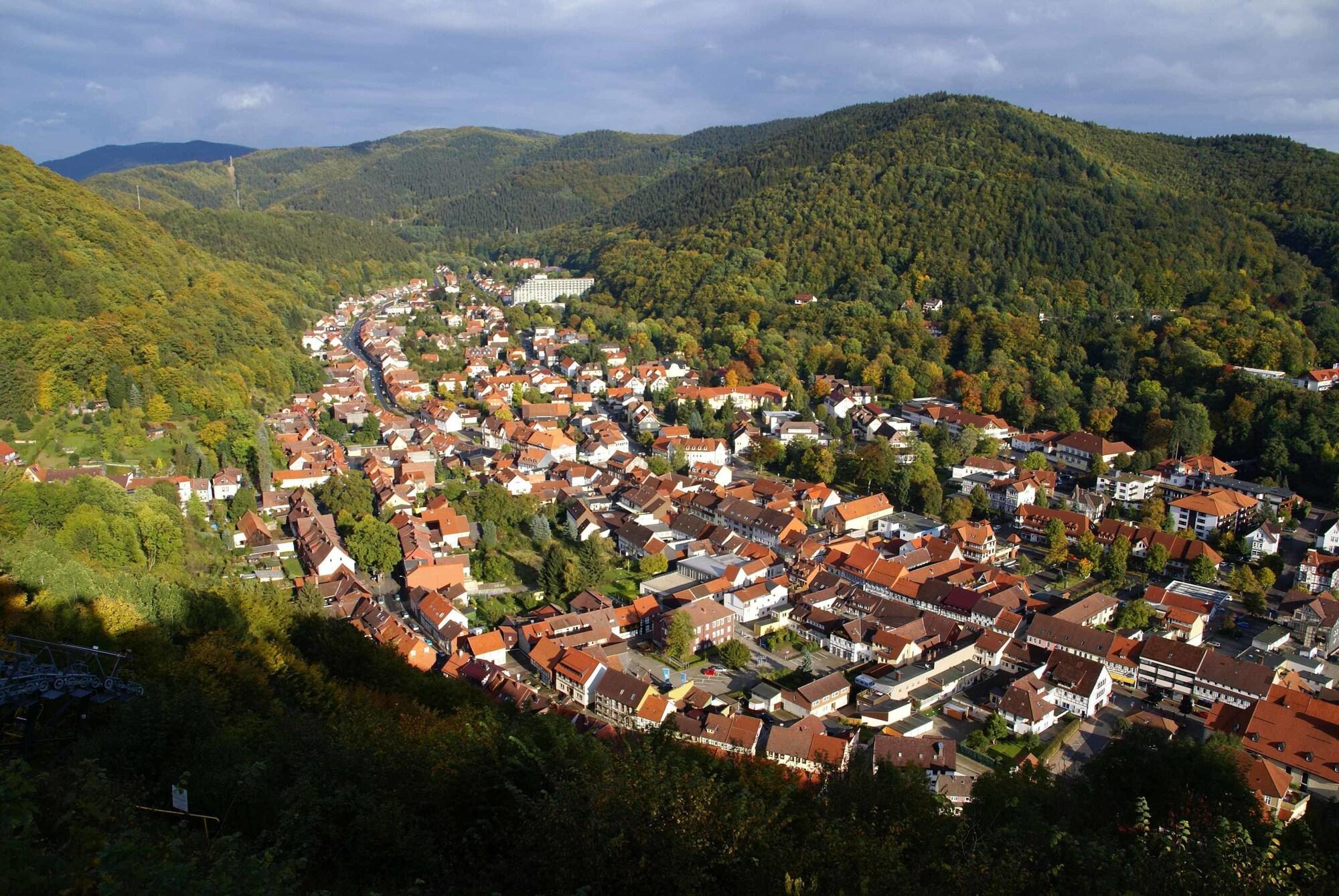 General View