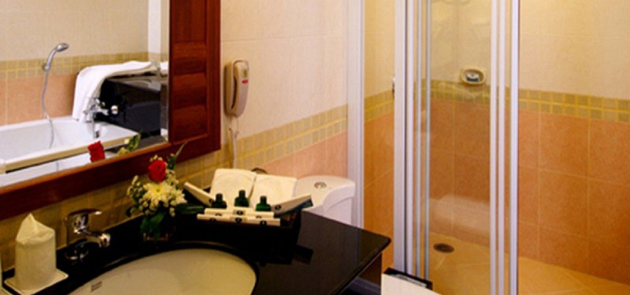 Double or Twin Superior