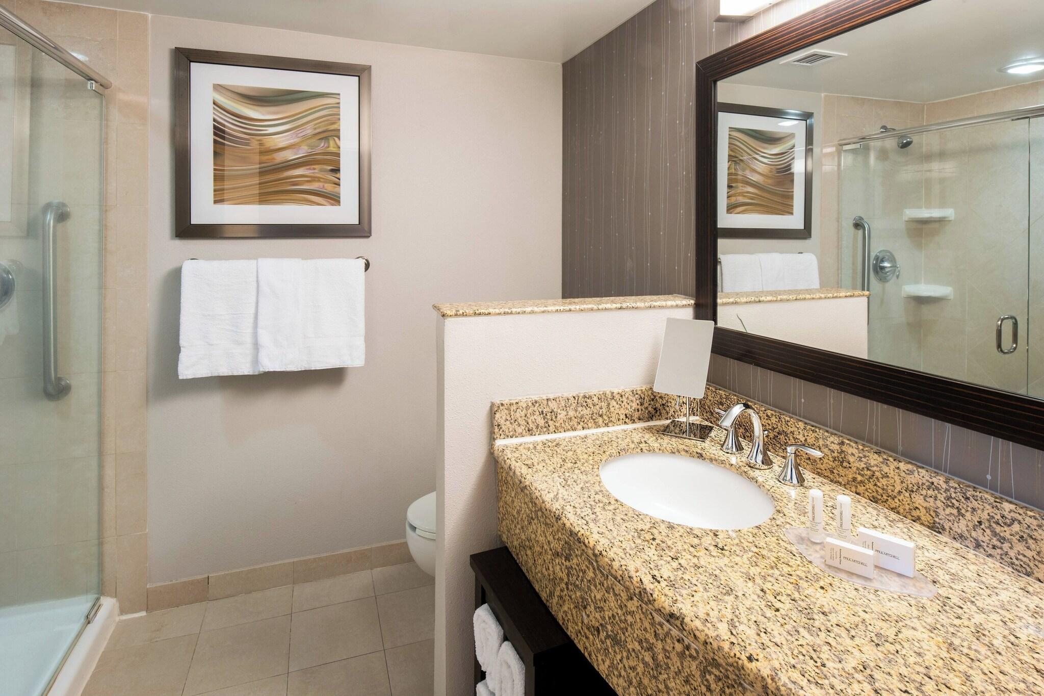 Suite King Bed One Bedroom 