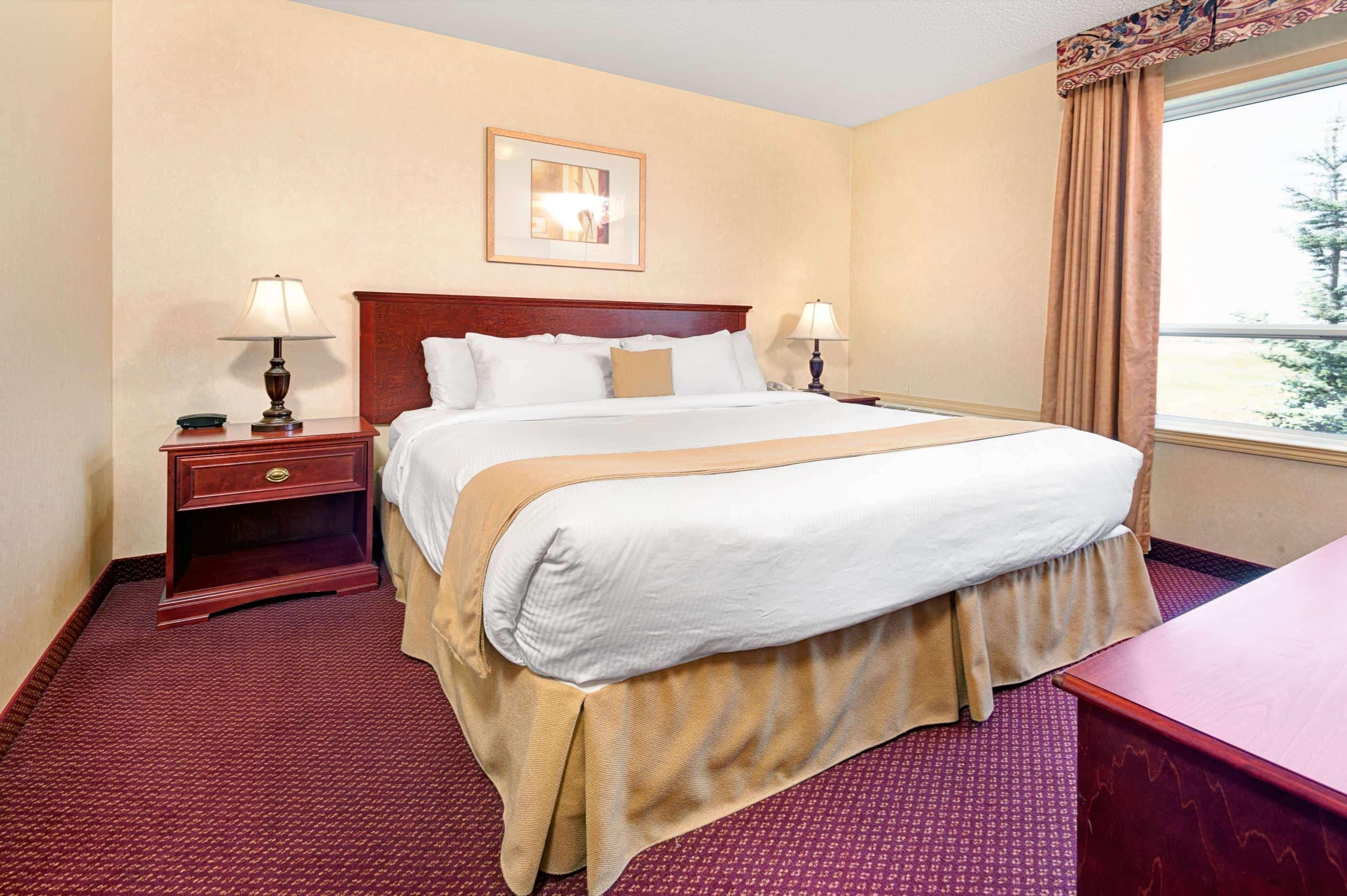 Suite King Bed Non Smoking