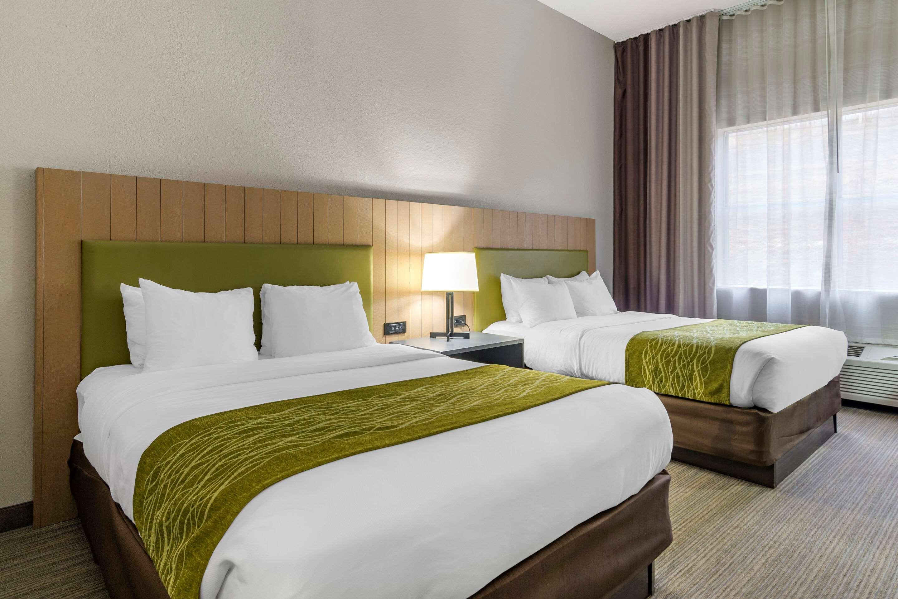 Double Two Queen Beds Non Smoking