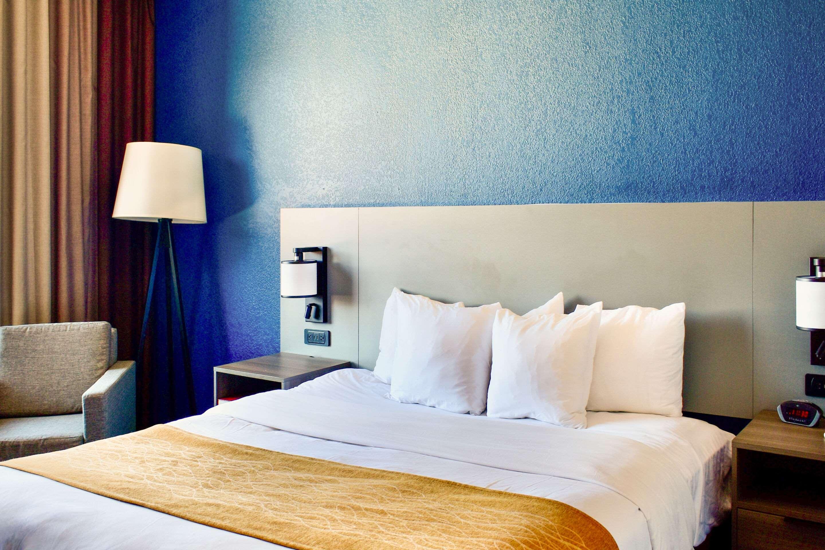 Suite King Bed Non Smoking