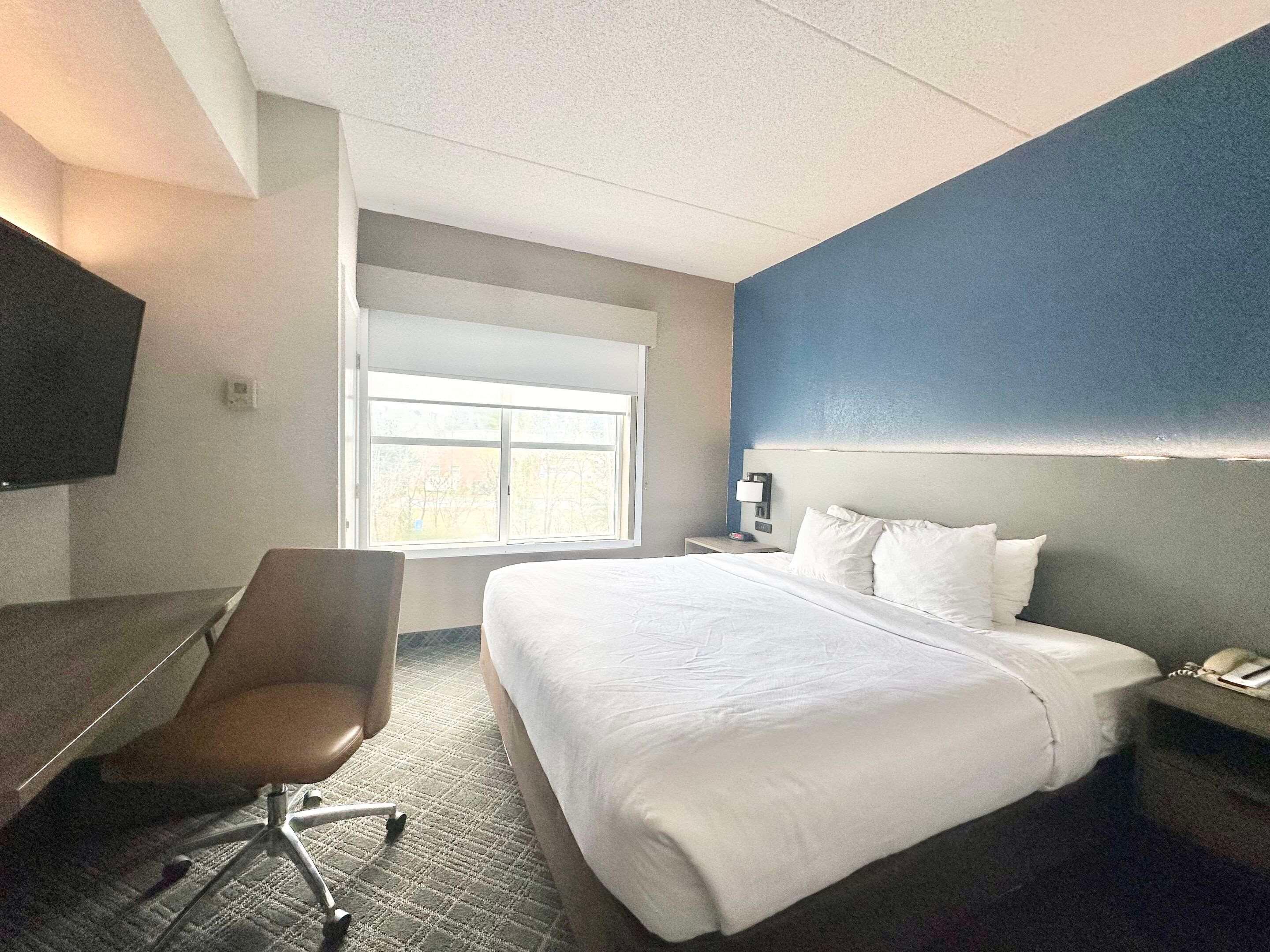 Suite King Bed Non Smoking