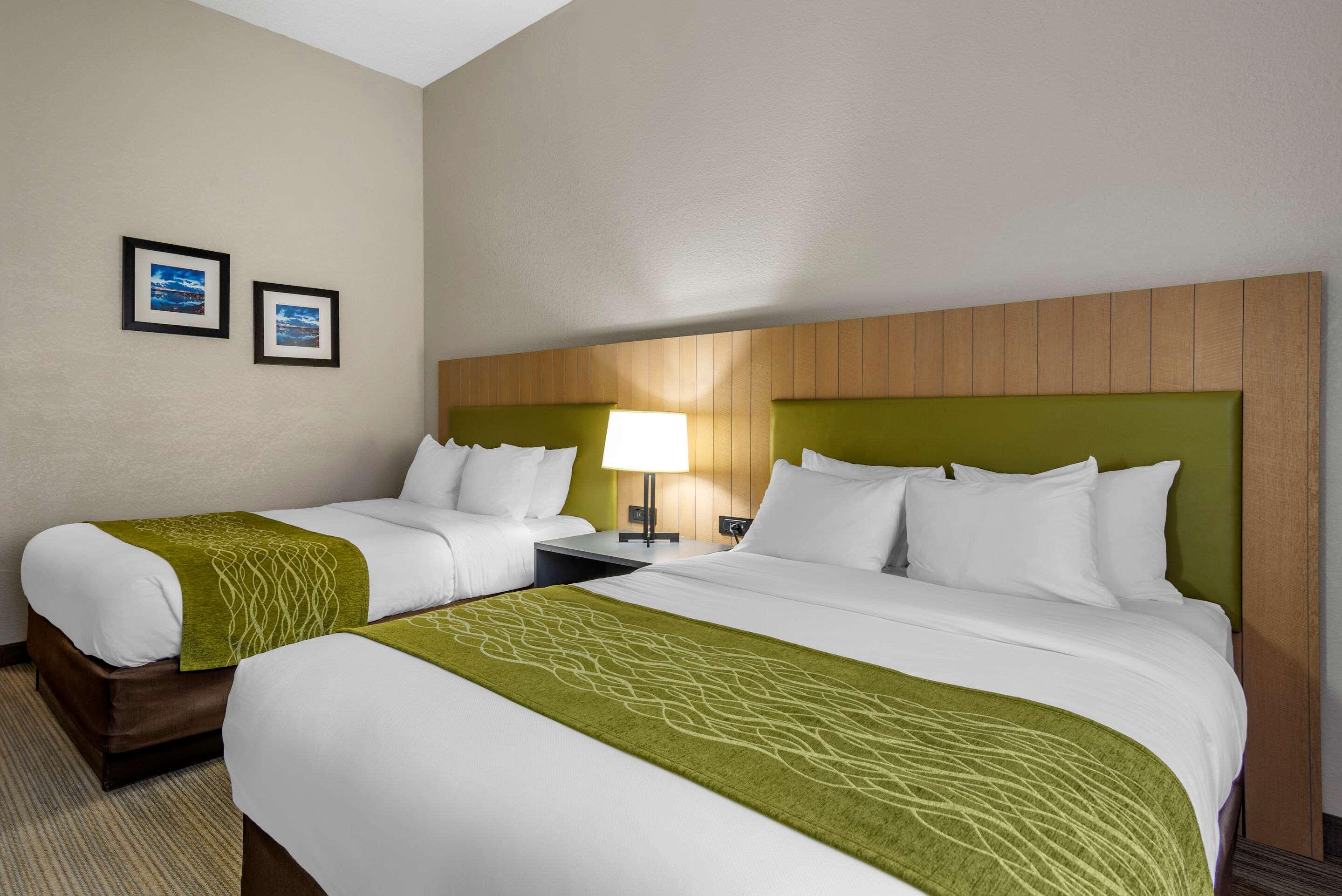 Quadruple Accessible-two Queen Beds