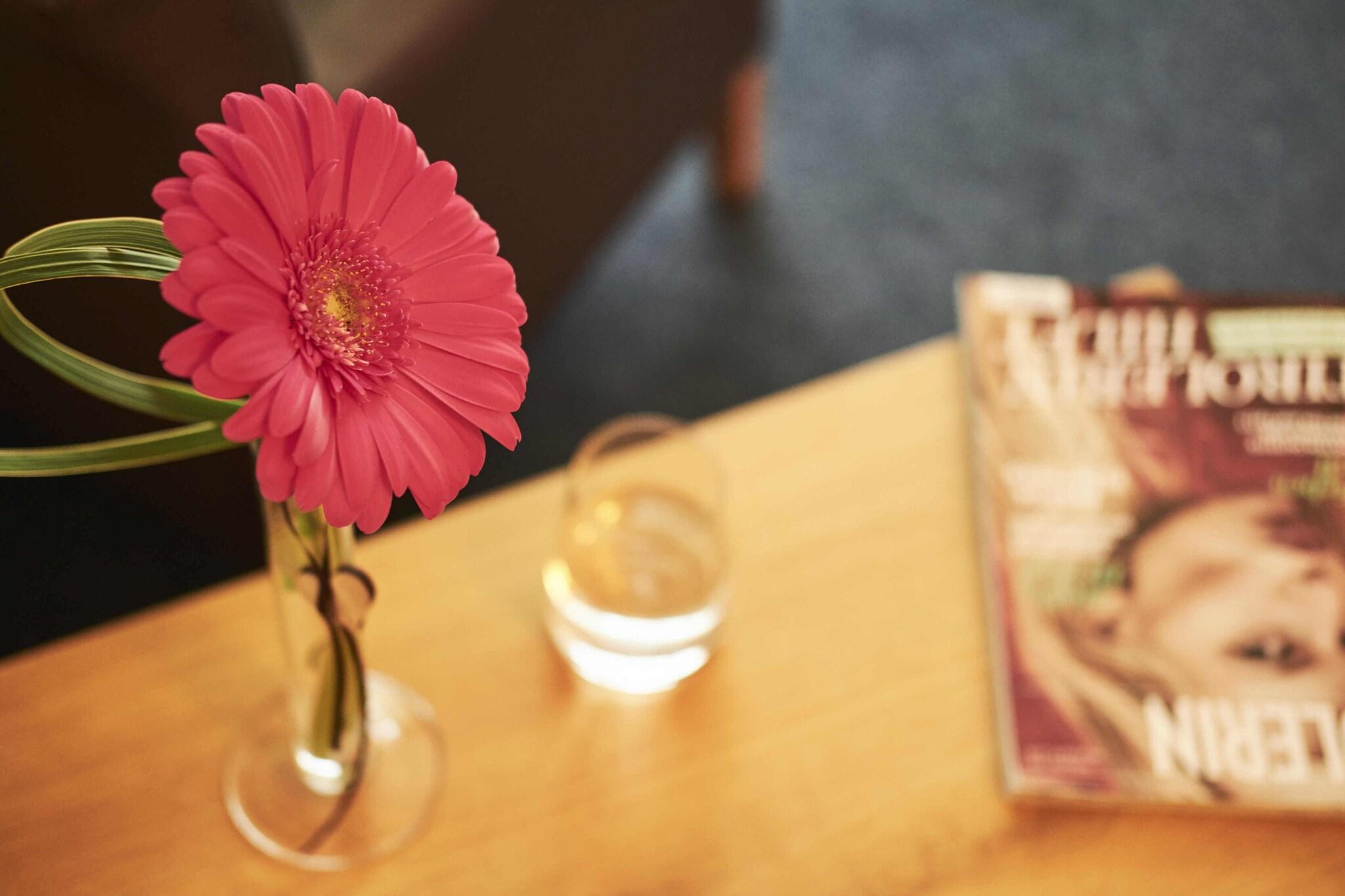 Double Mountain View