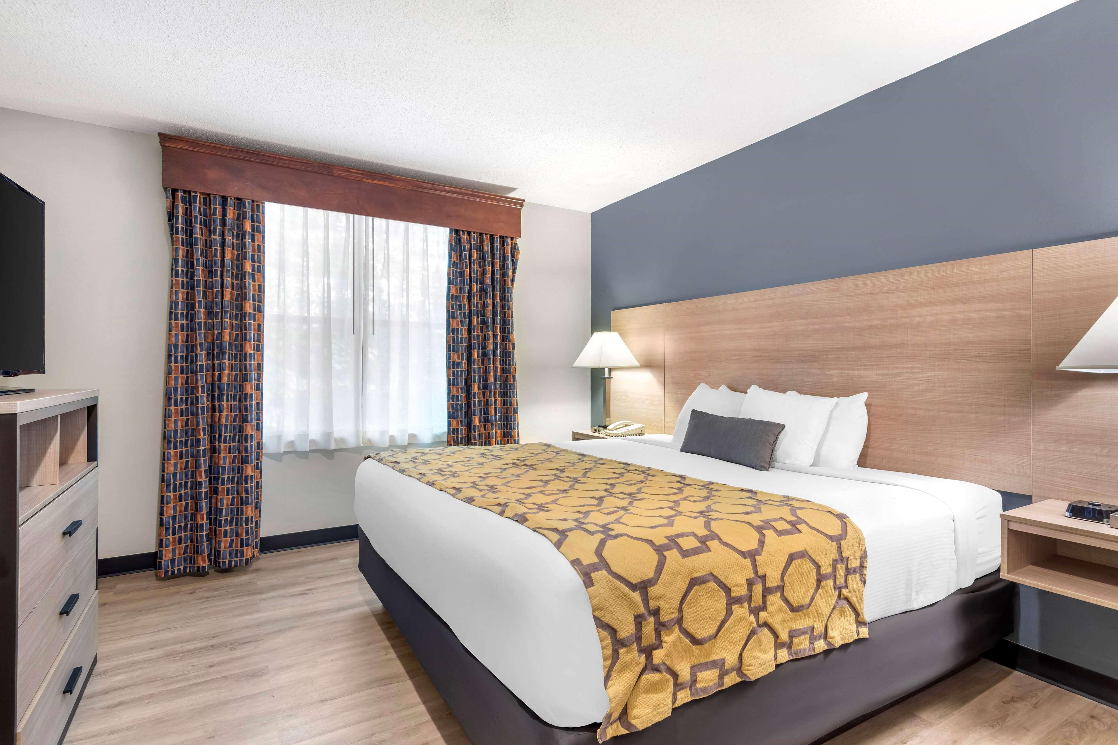 Suite King Bed Non Smoking