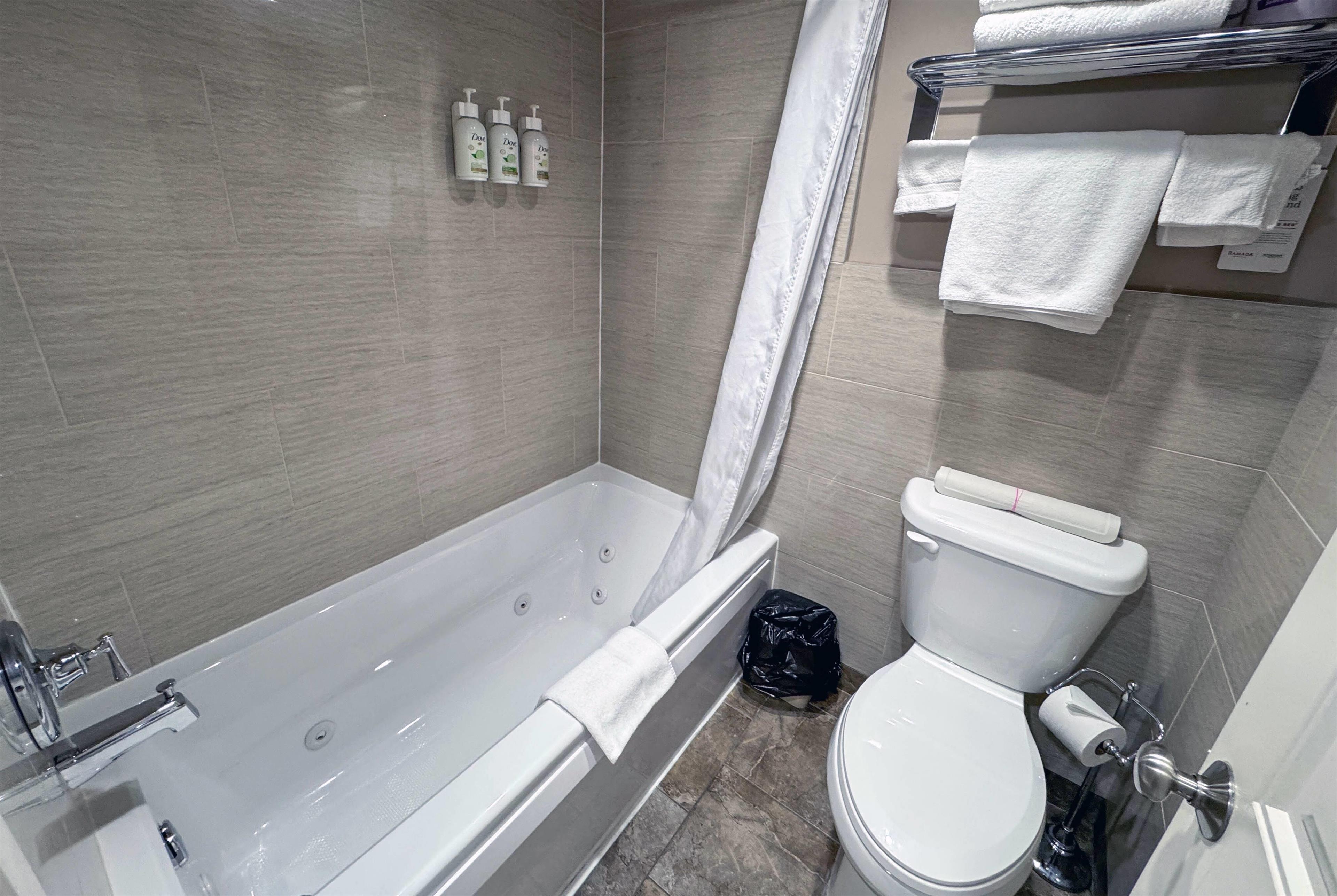 Suite King Bed Non Smoking