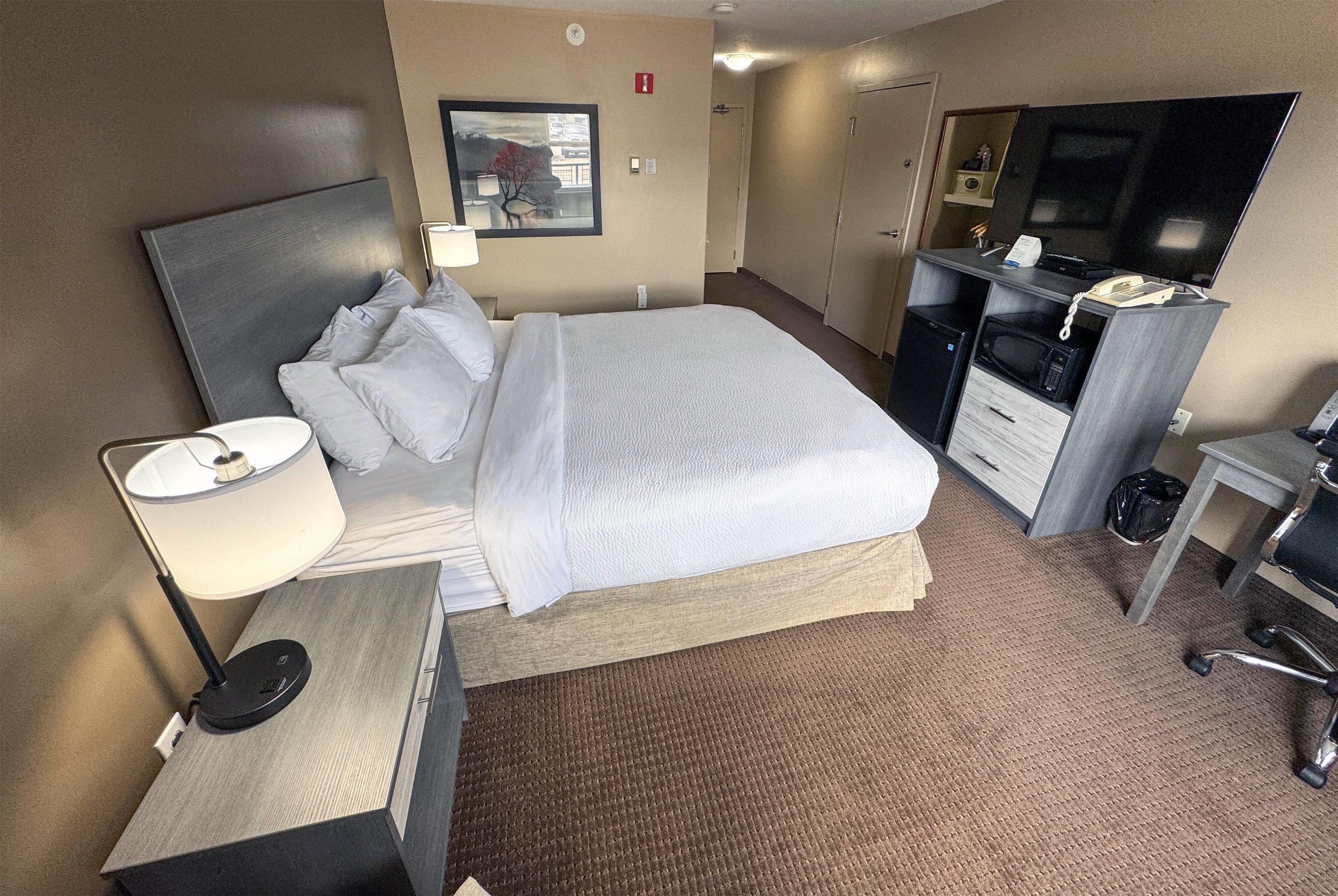 Double King Bed Non Smoking