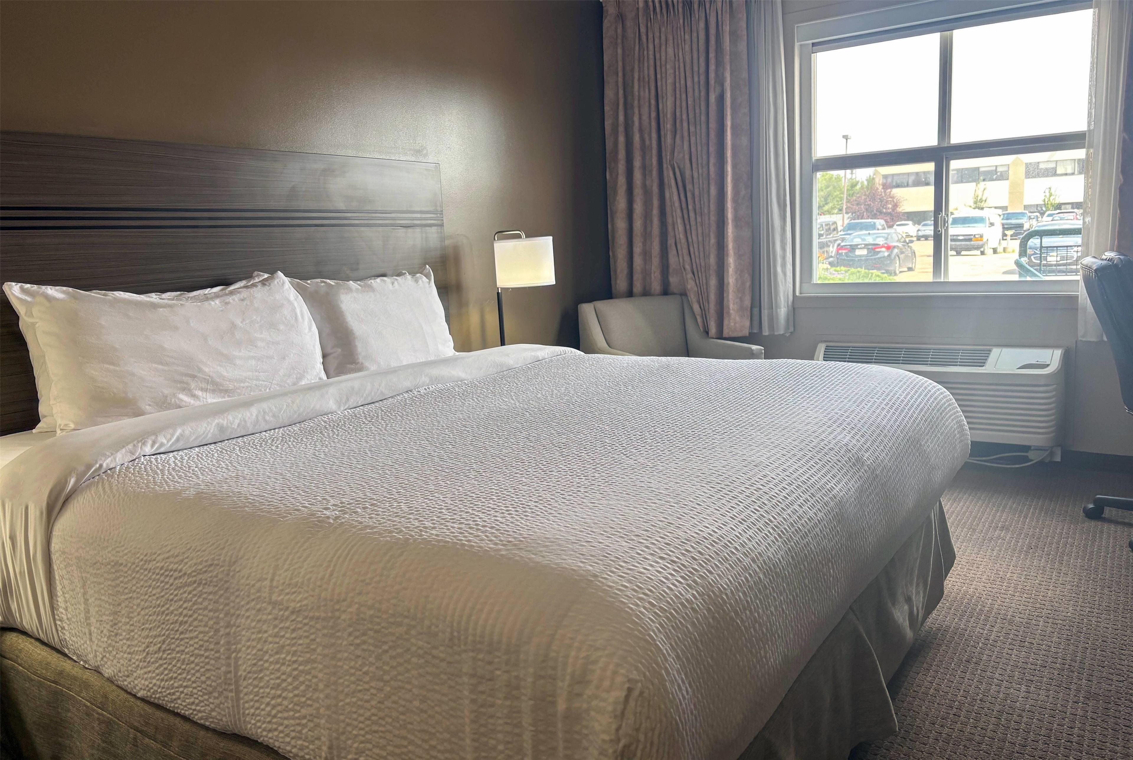 Single King Size Bed