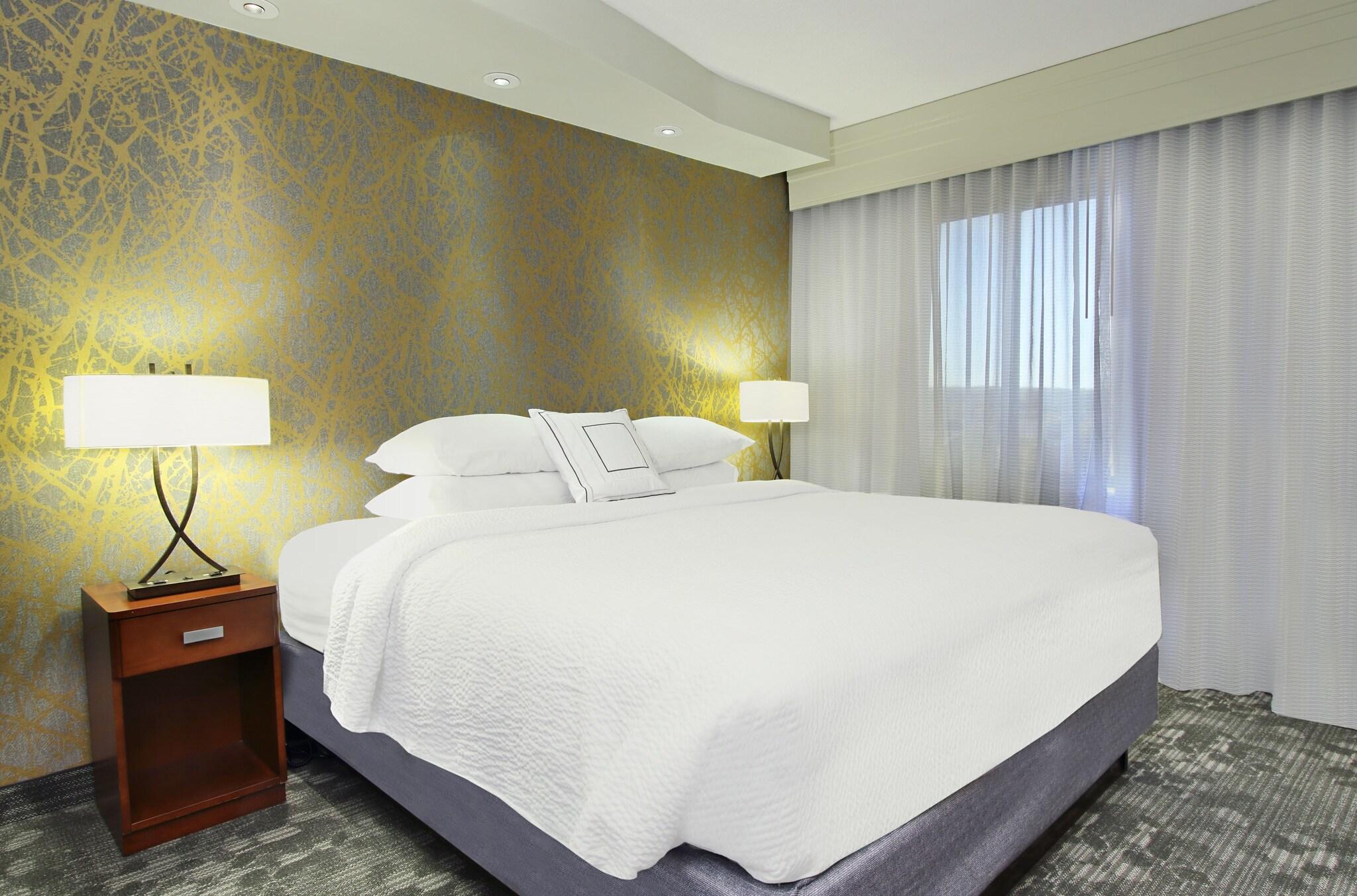 Suite King Bed One Bedroom 