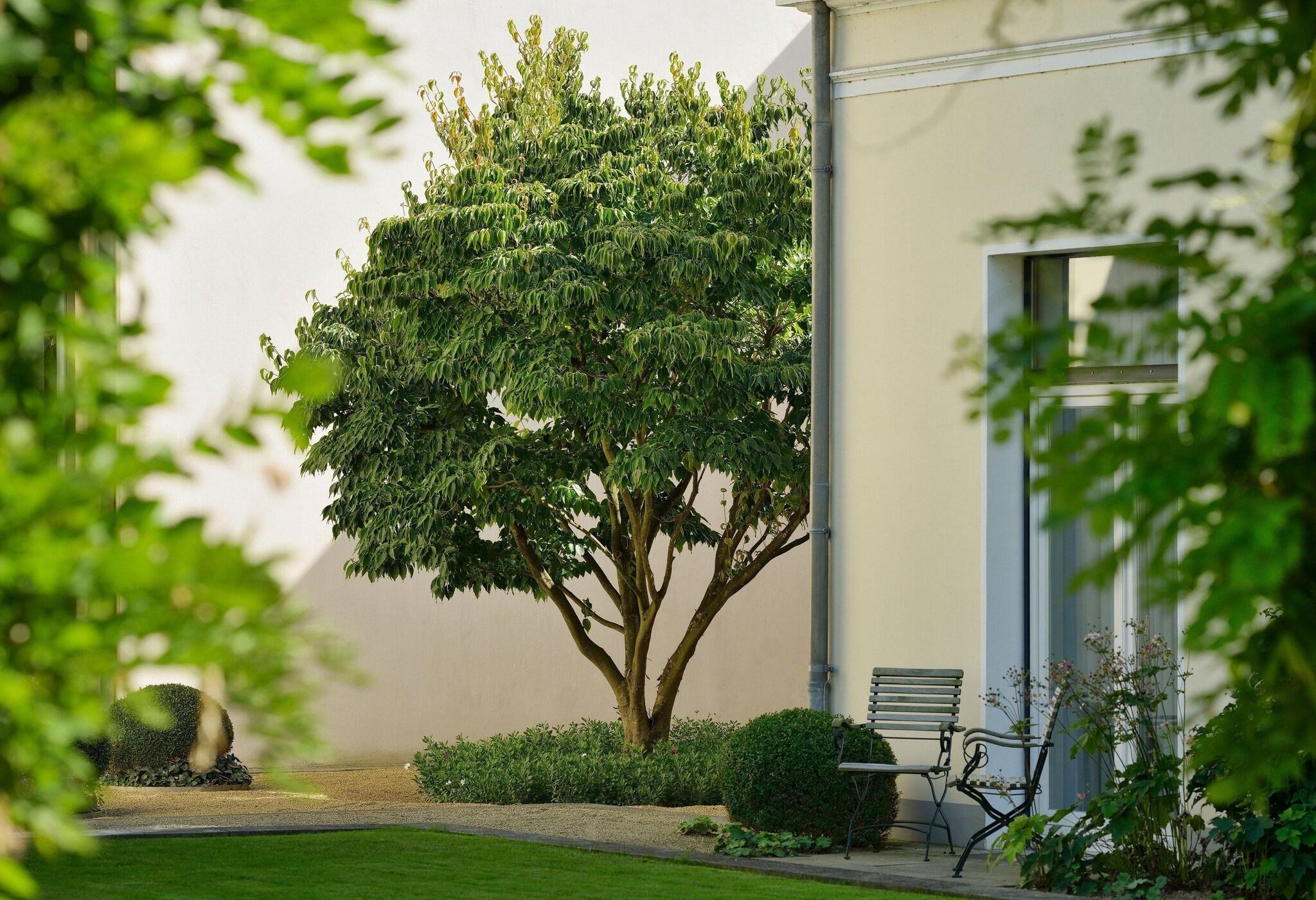 Double Deluxe Garden View